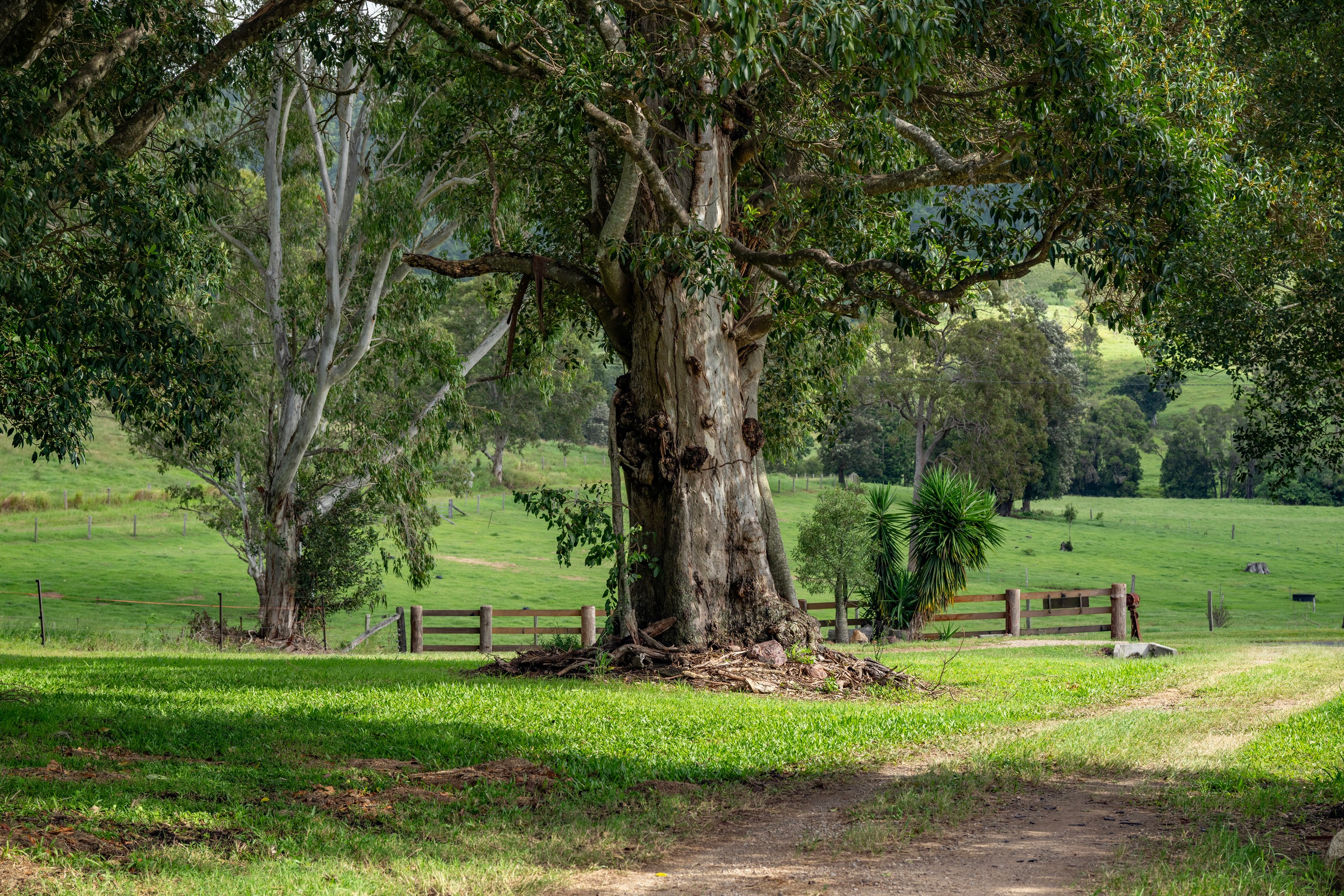 287A Marys Creek Road, Marys Creek, QLD 4570