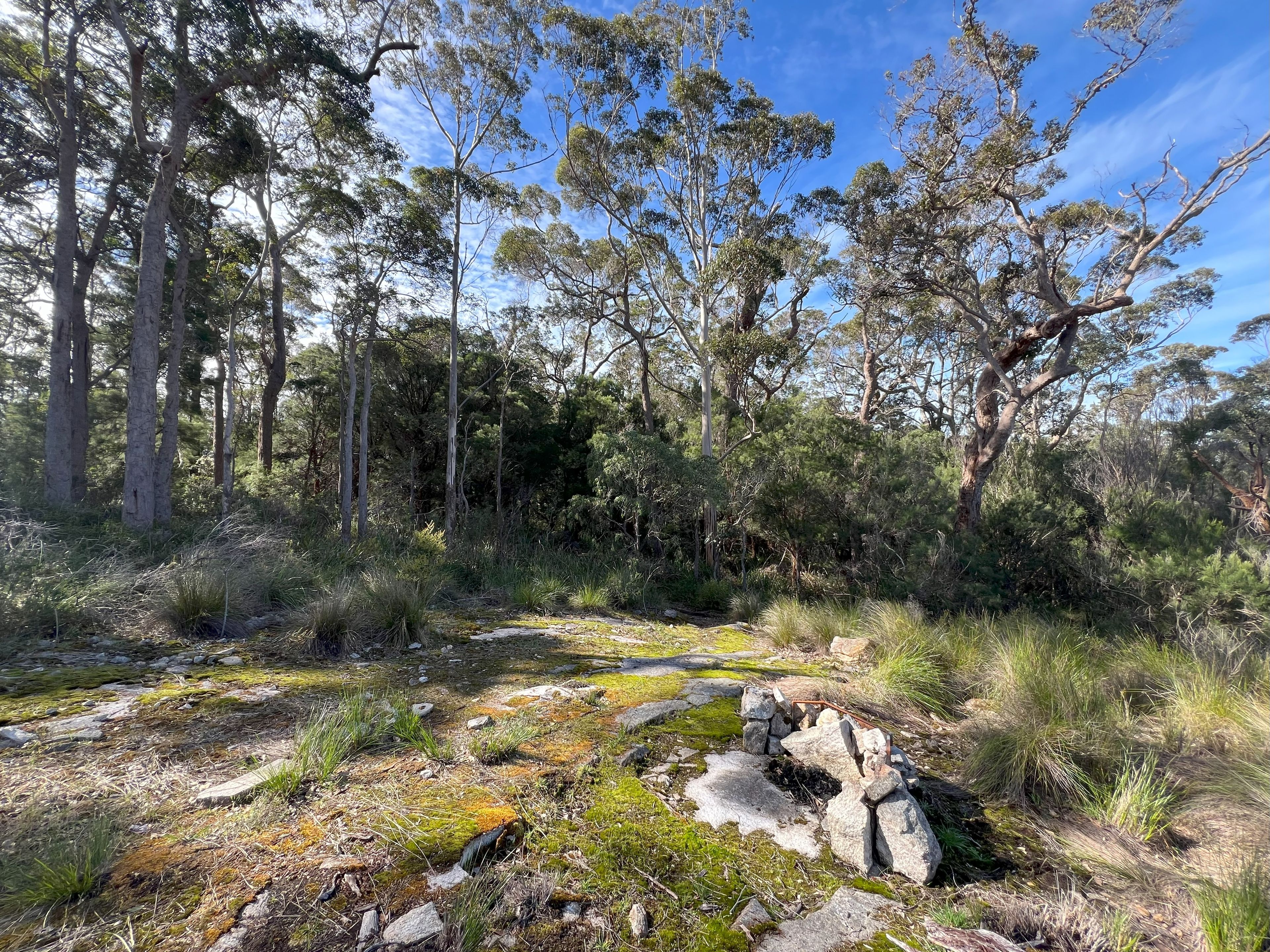 51 Pittam Way, Shadforth, WA 6333 - Sold Rural Lifestyle Property - Ray ...
