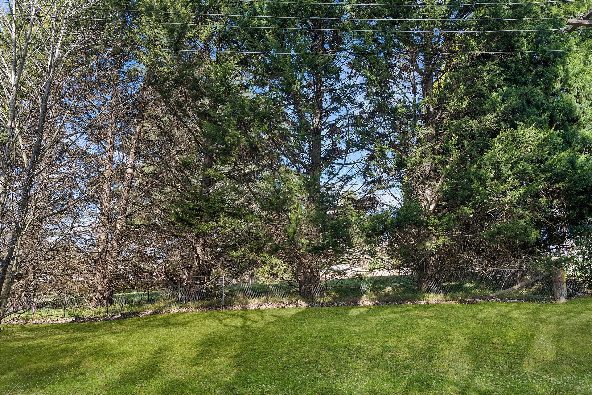 Lot 48 Pile Street, Exeter, NSW 2579