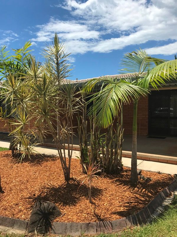 4 Slim Crescent, Golden Beach, QLD 4551