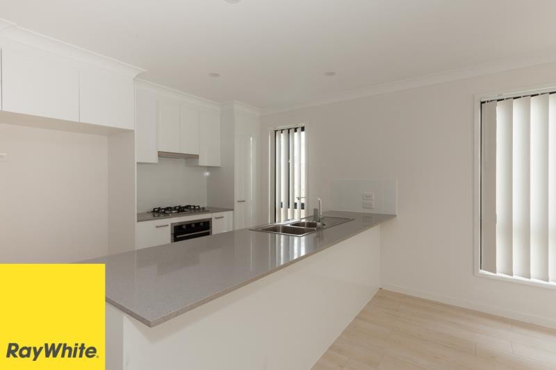 19 Hill Drive, Pimpama, QLD 4209