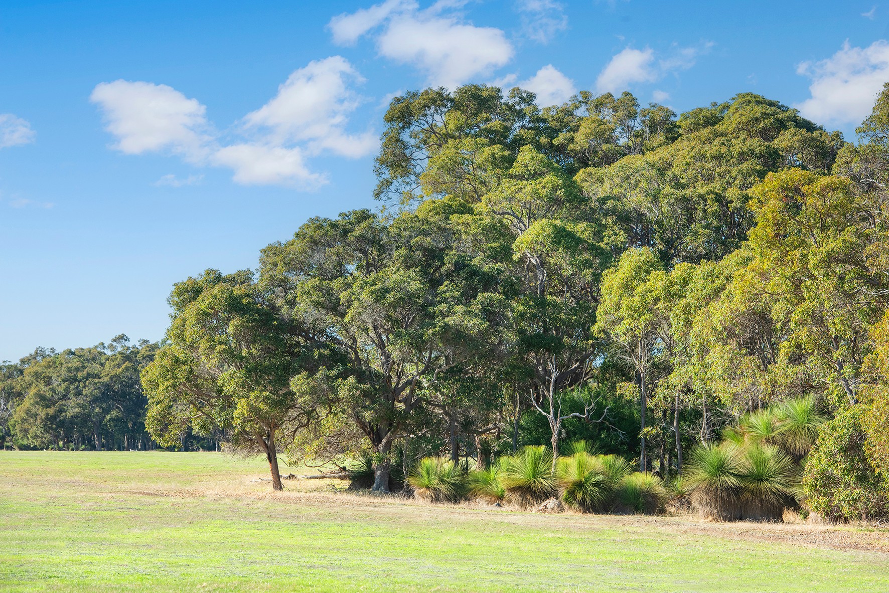 Lot PL10 93 Biddle Road, Quedjinup, WA 6281