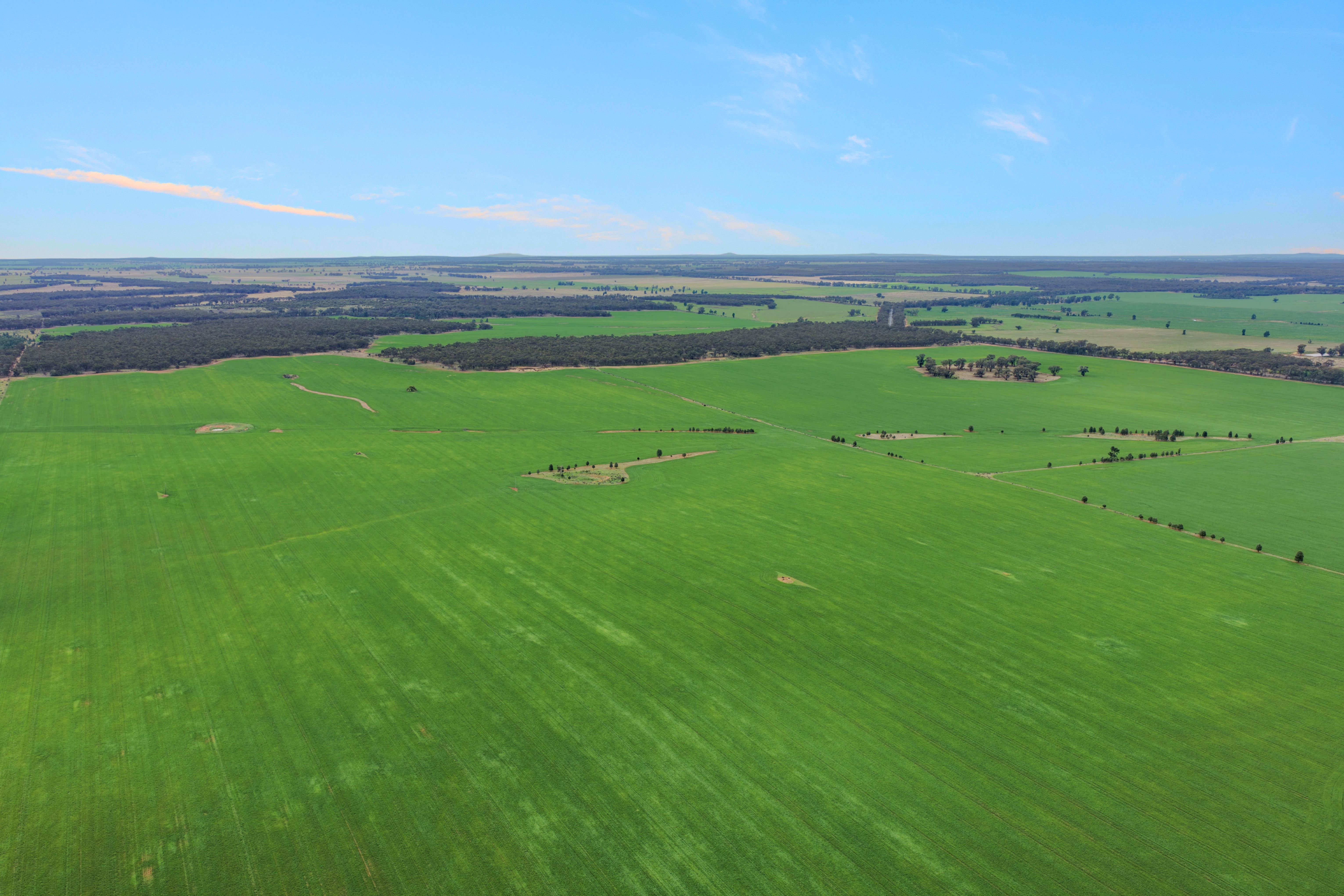 1826 Tallimba Road, West Wyalong, NSW 2671