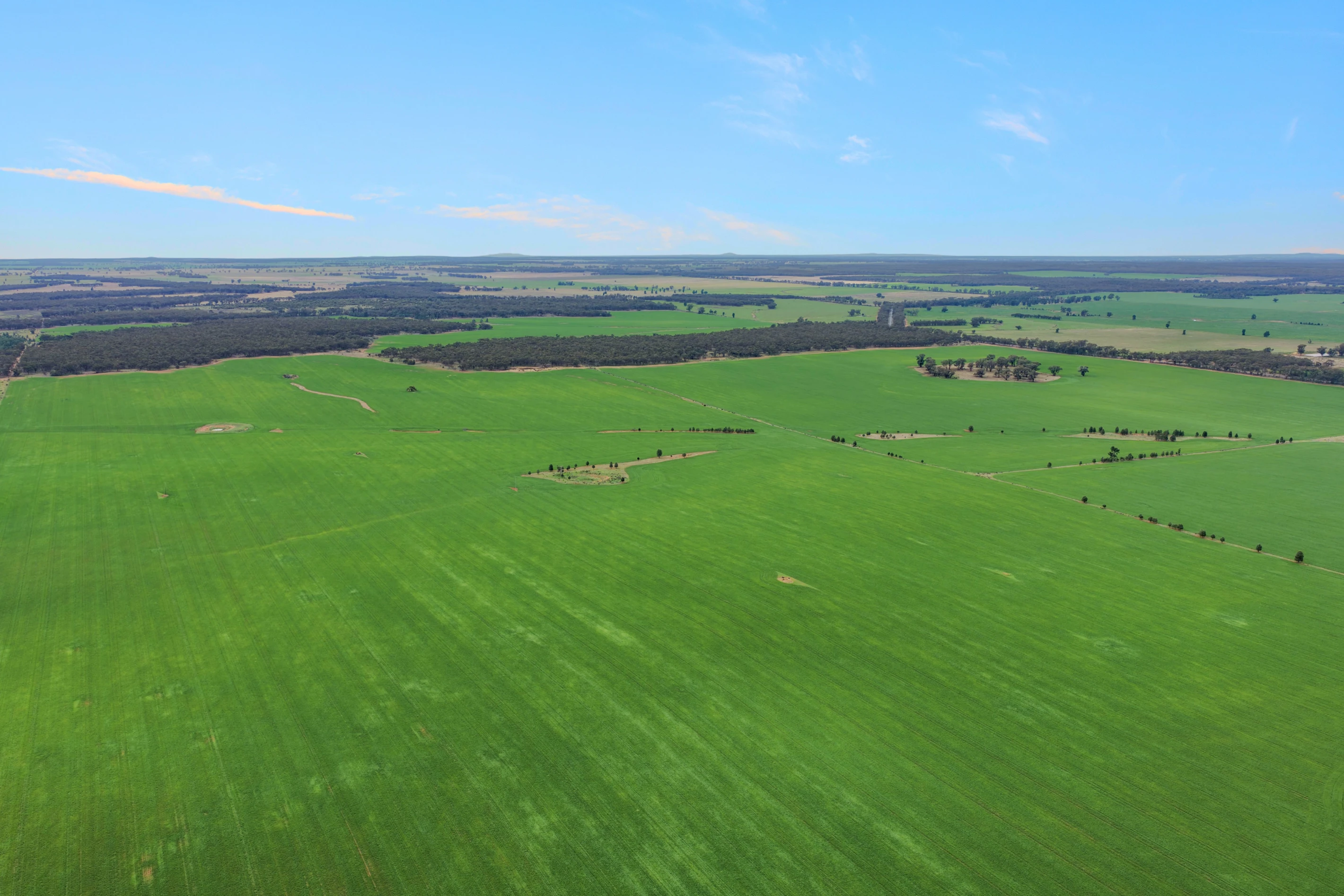 1826 Tallimba Road, West Wyalong, NSW 2671