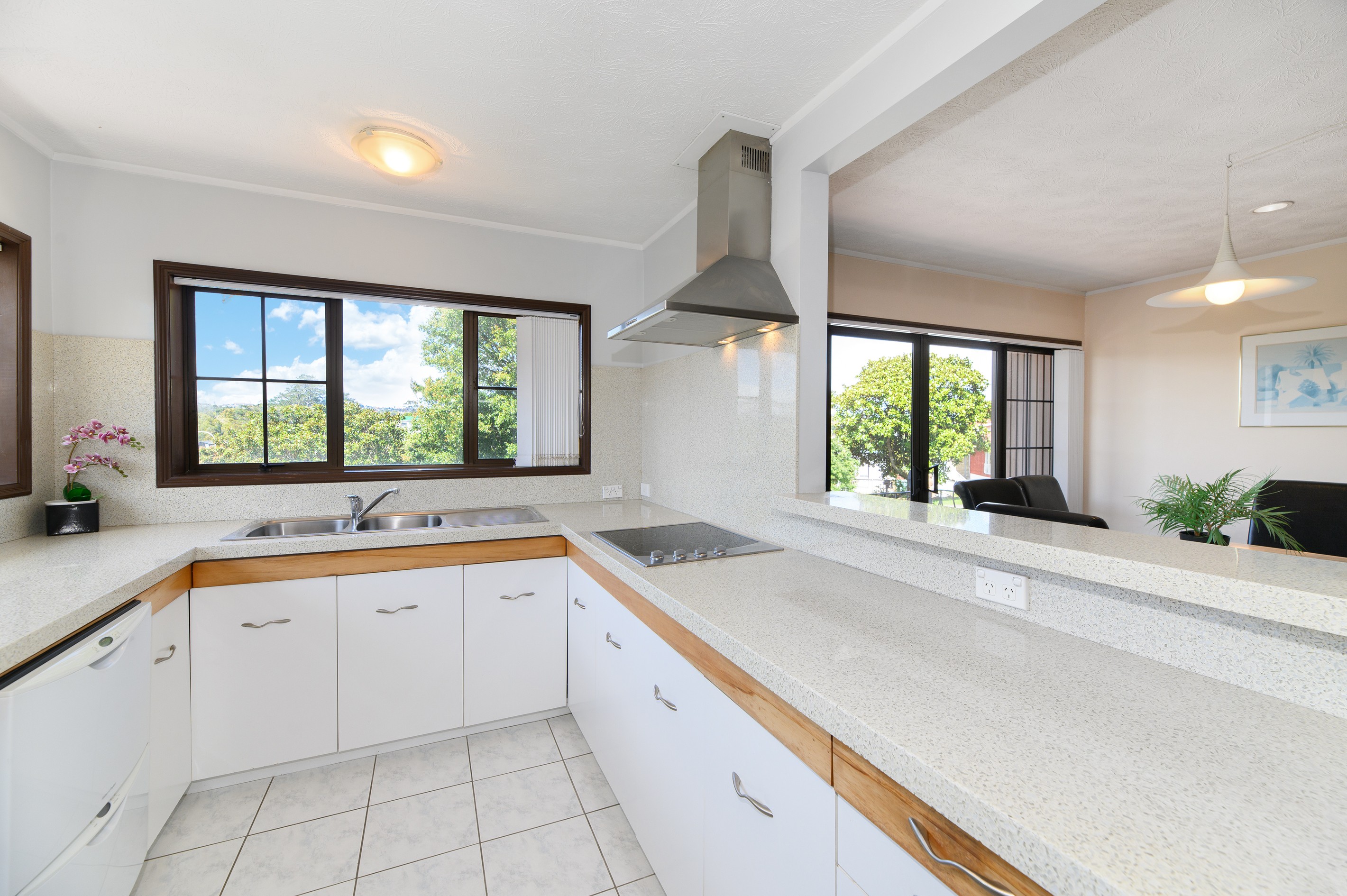 1 Tropicana Drive, Mount Roskill, Auckland City