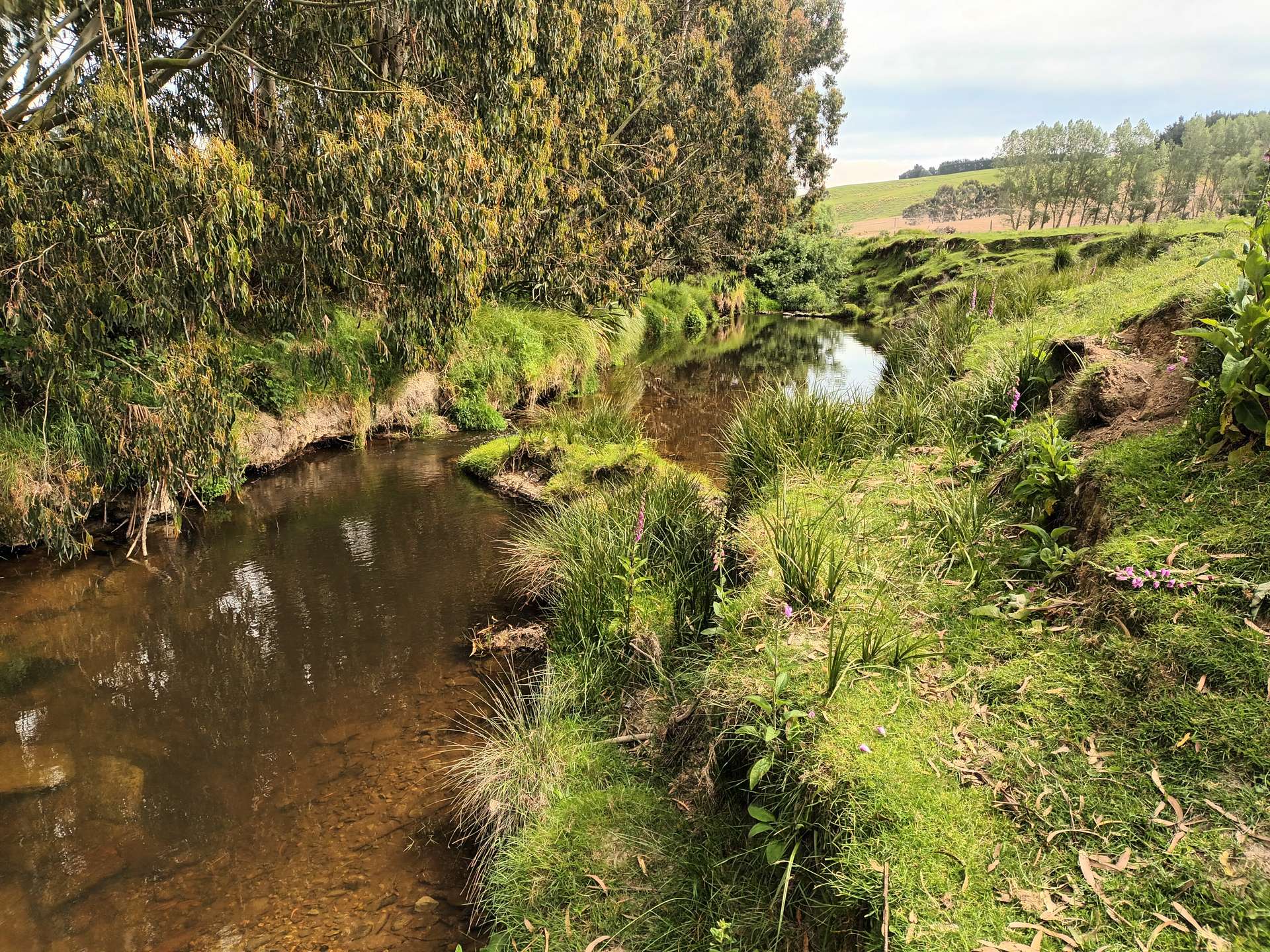 202 Koi Flat Road photo 18