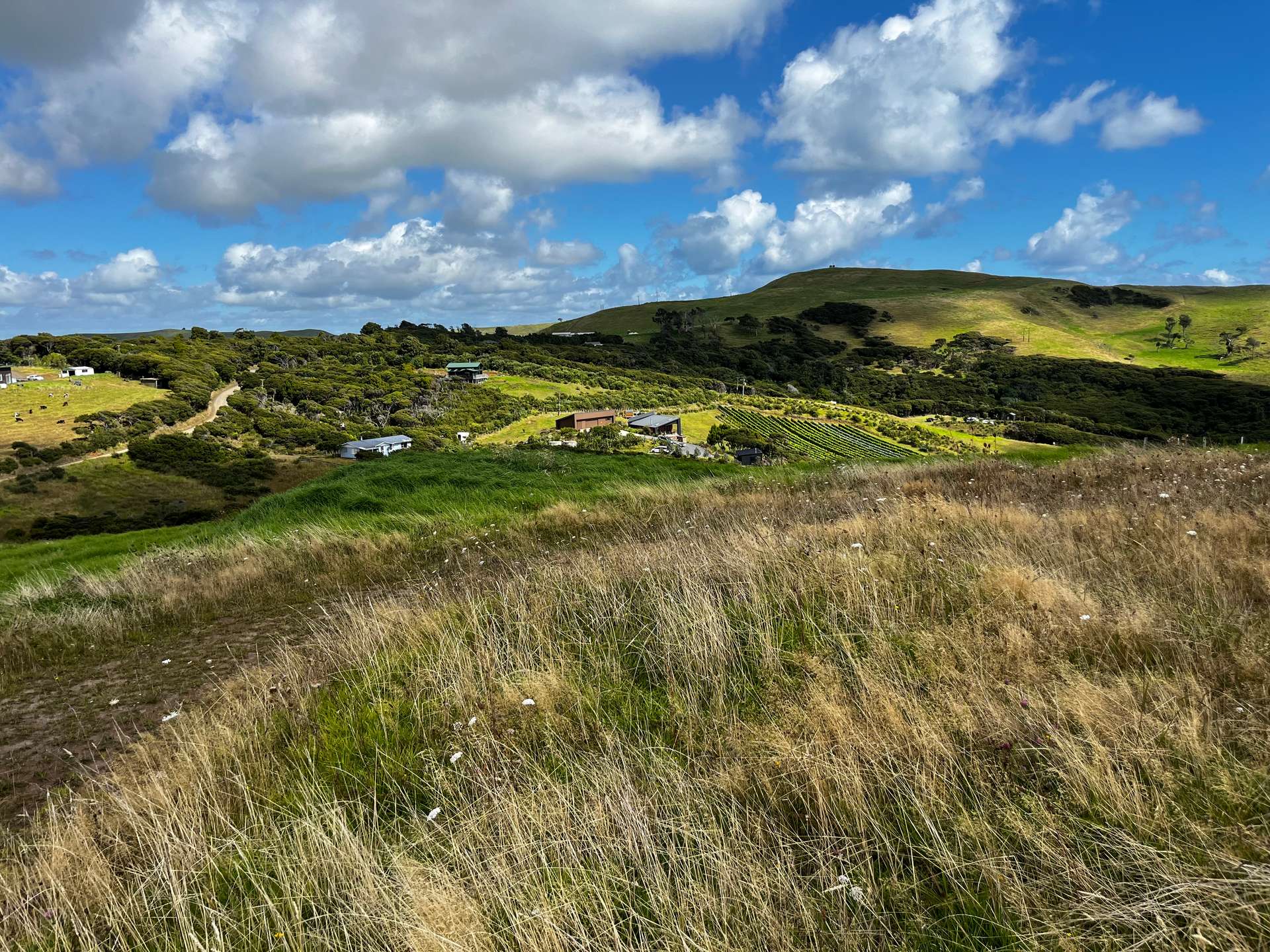 1597 Whaanga Road photo 2