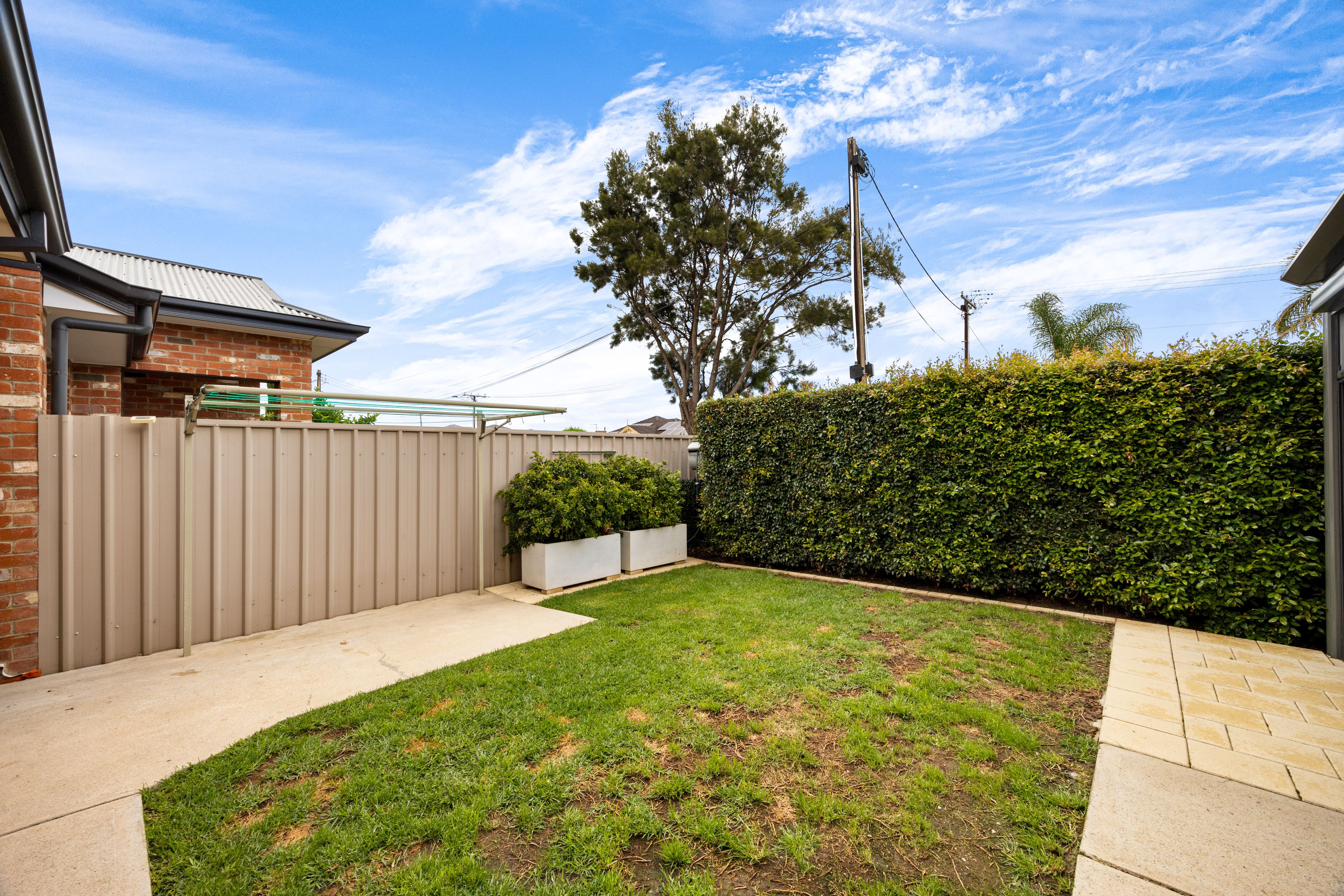 25D Alfred Avenue — photo 15 of 18