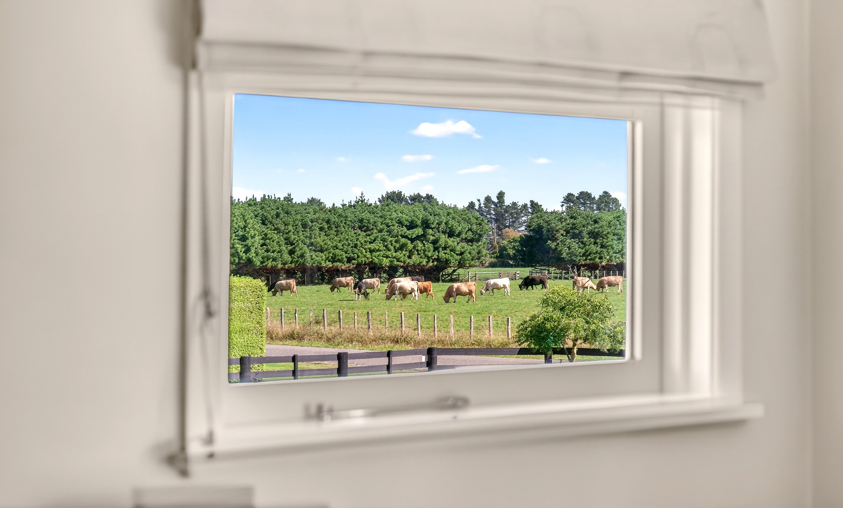 105 Boundary Road, Masterton, Masterton District
