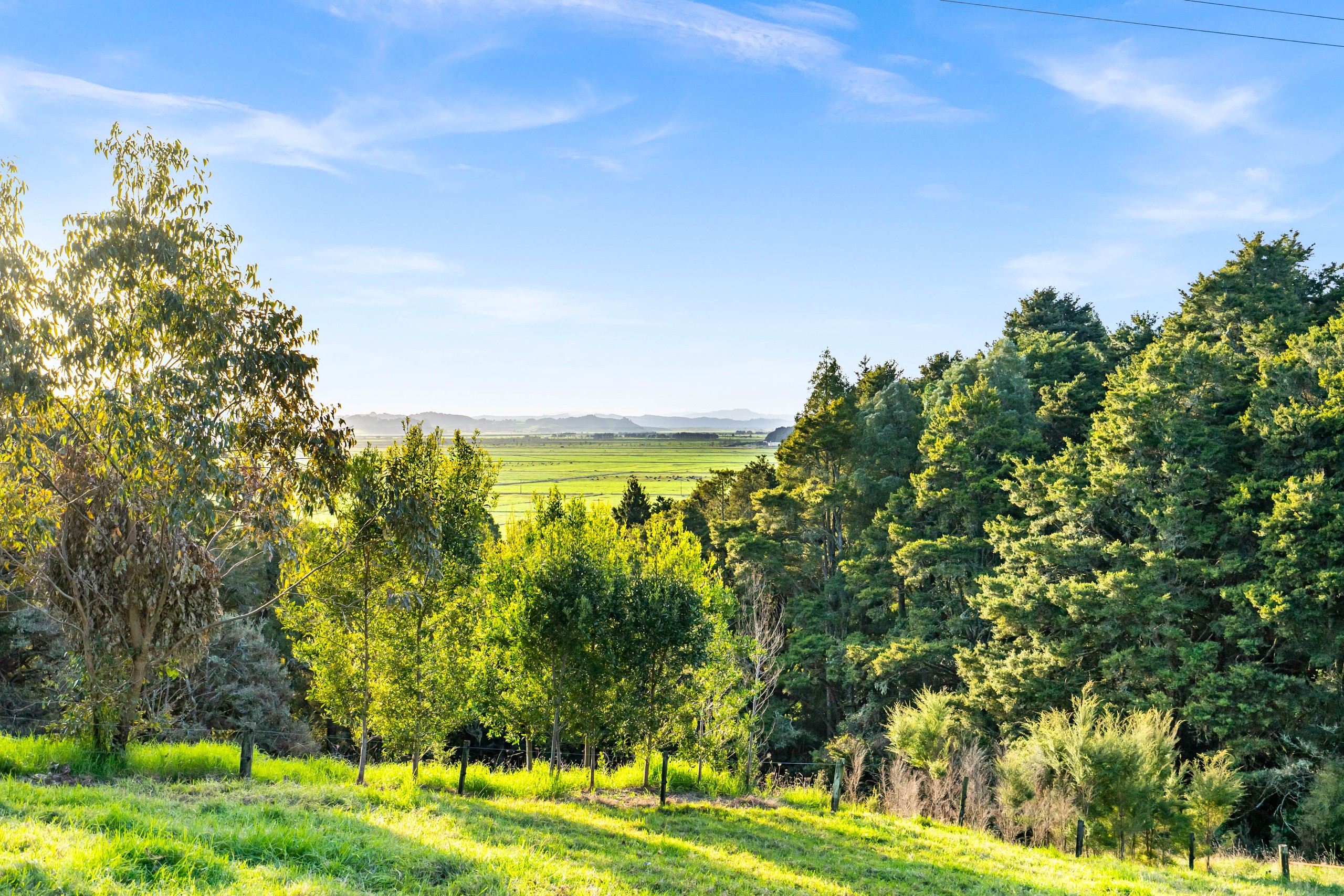 389A Crane Road, Ngararatunua, Whangarei District