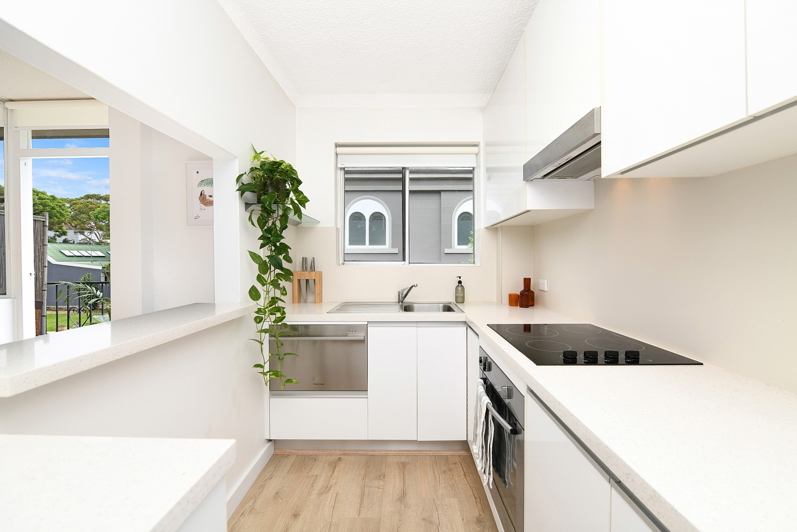 7/258 Johnston Street, Annandale, NSW 2038