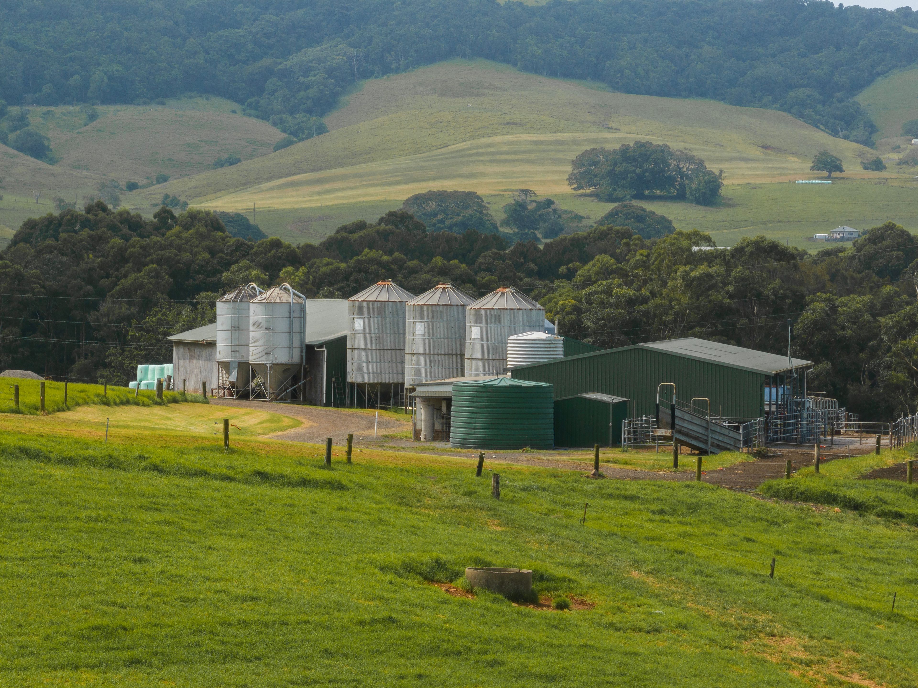 'Alne Bank' 129 Rose Valley Road — photo 17 of 24