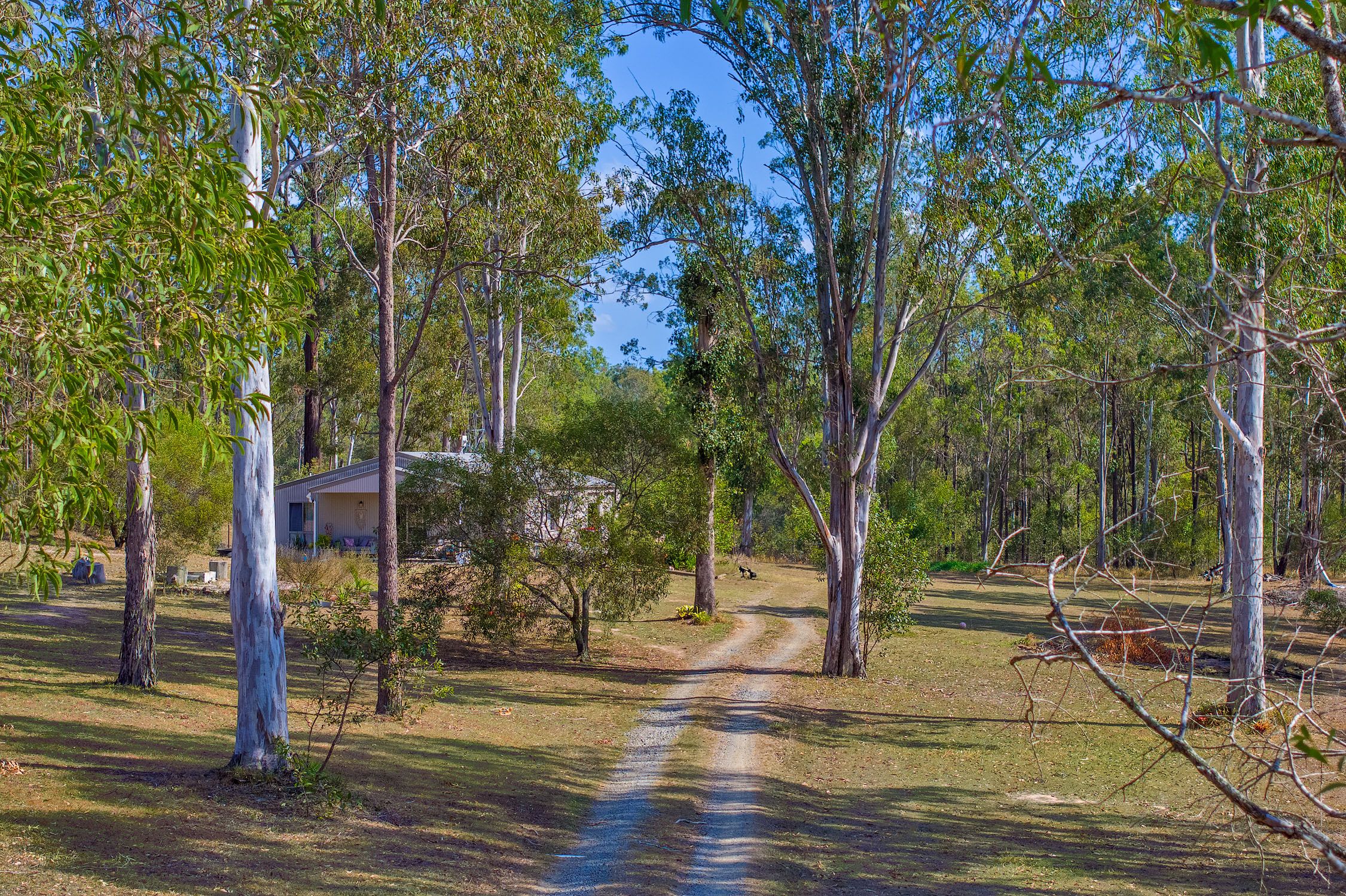 29 Kimberly Grange Court — photo 8 of 14