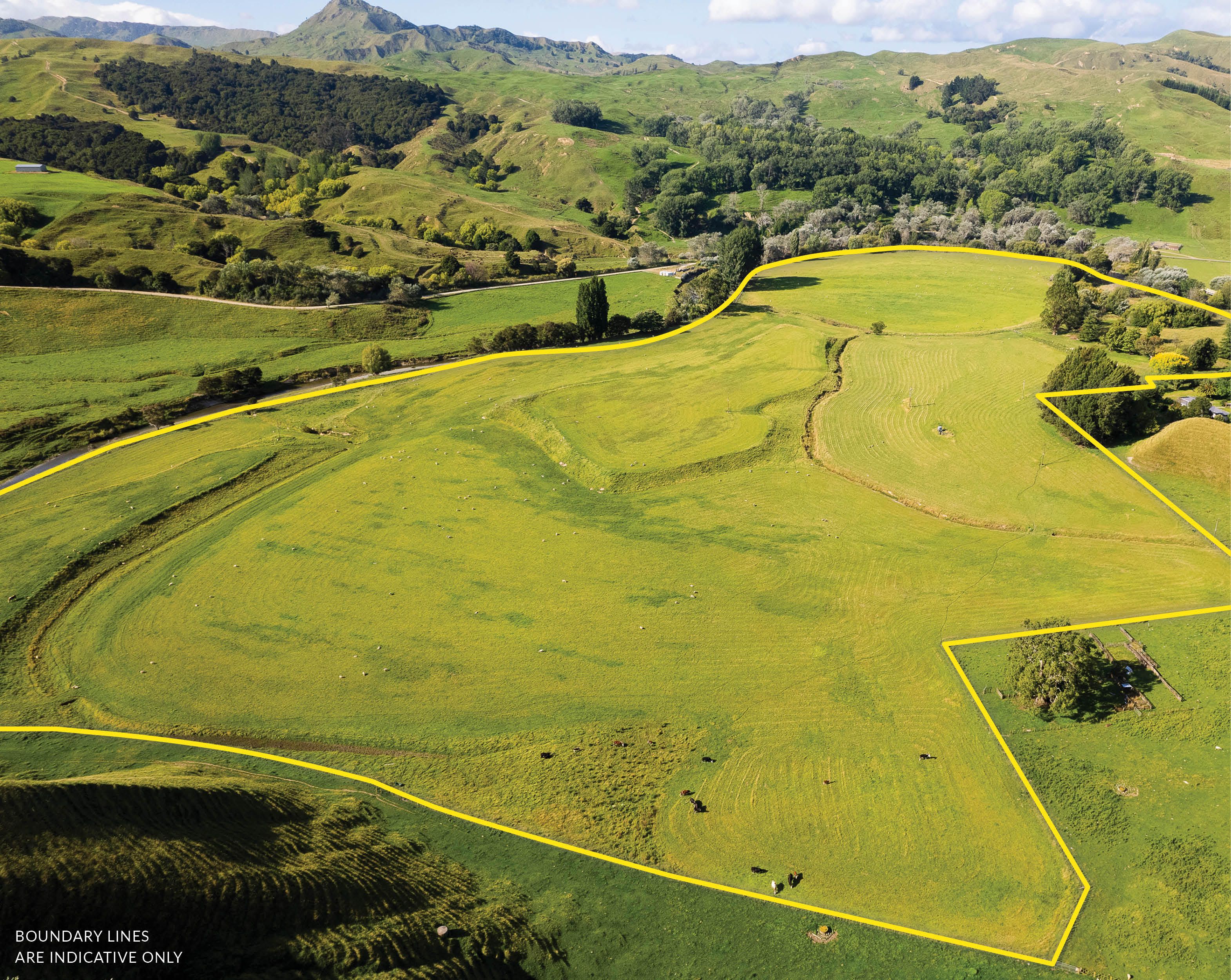 0 Mahaki Settlement Road, Otoko, Gisborne District