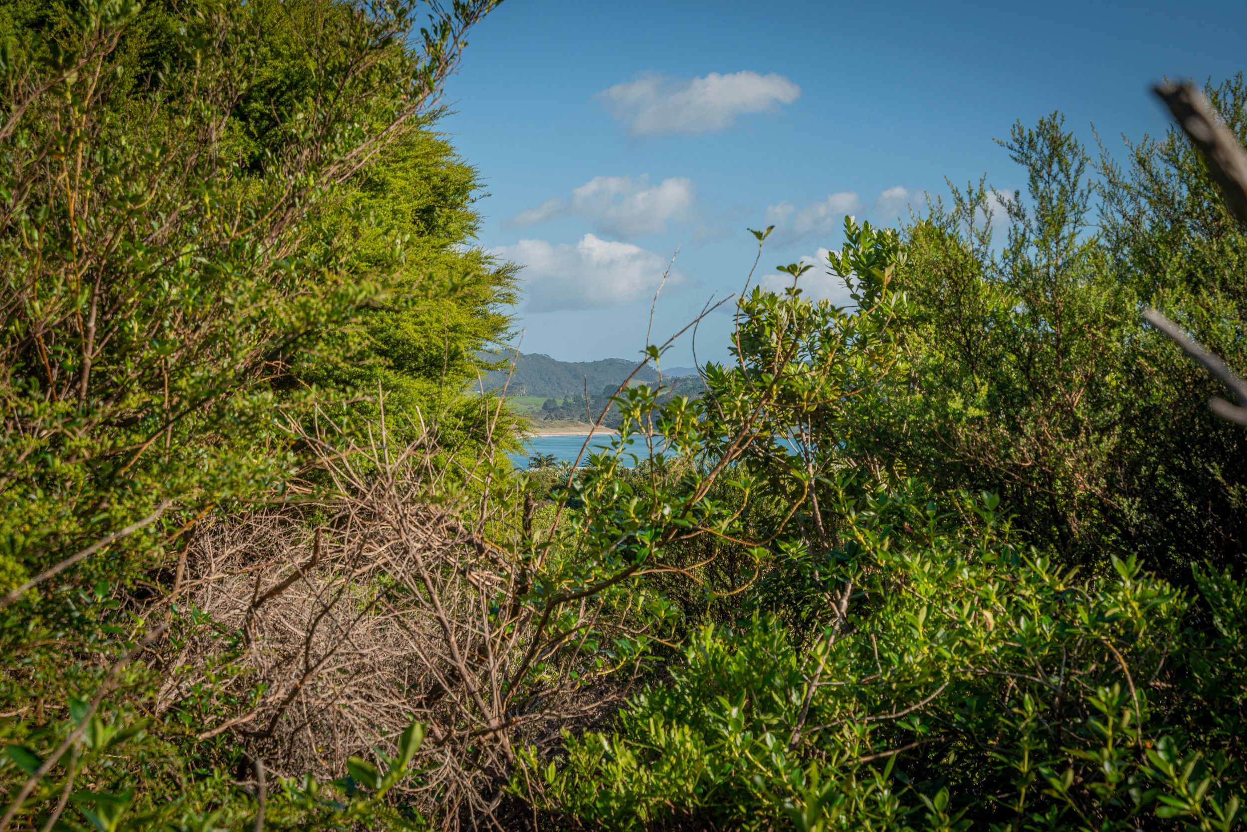 42 Radar Road, Hot Water Beach, Thames Coromandel District