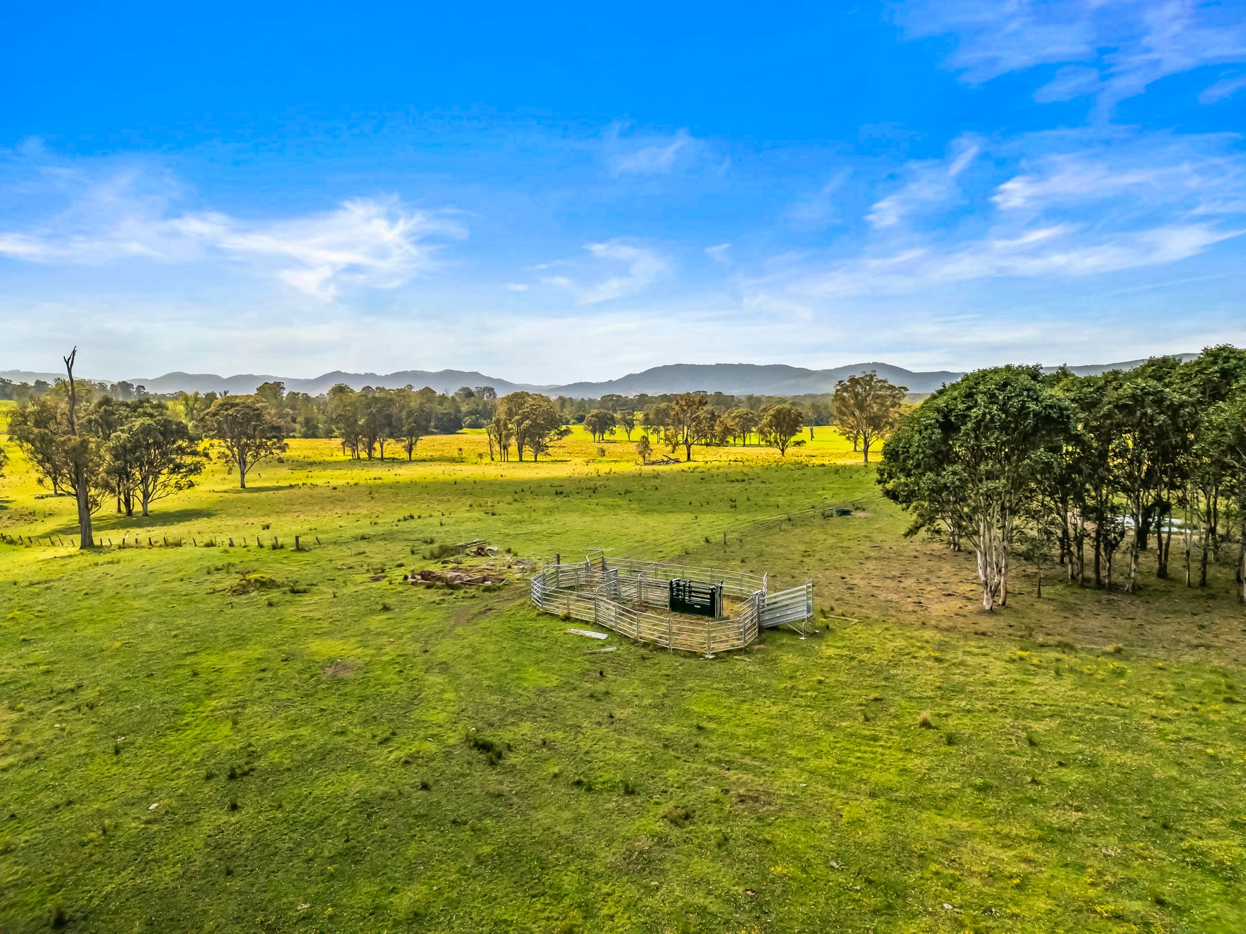 88 Germons Lane, Craven via — photo 8 of 30