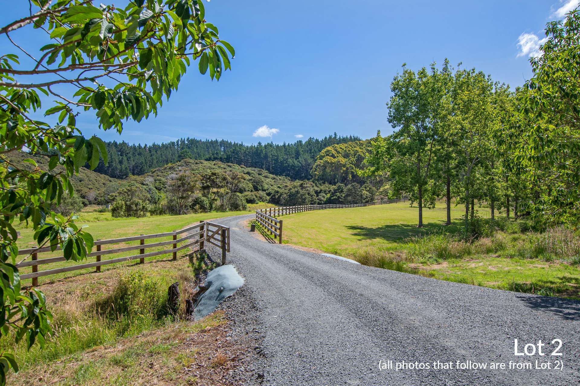 Lot 1 & 2 Waimarie Avenue photo 22