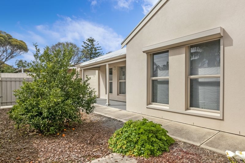 77 Chapel Street, Campbelltown, SA 5074