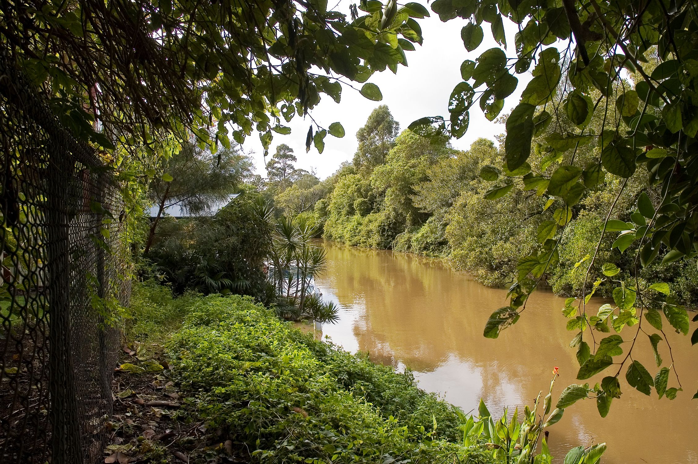Taree, NSW 2430