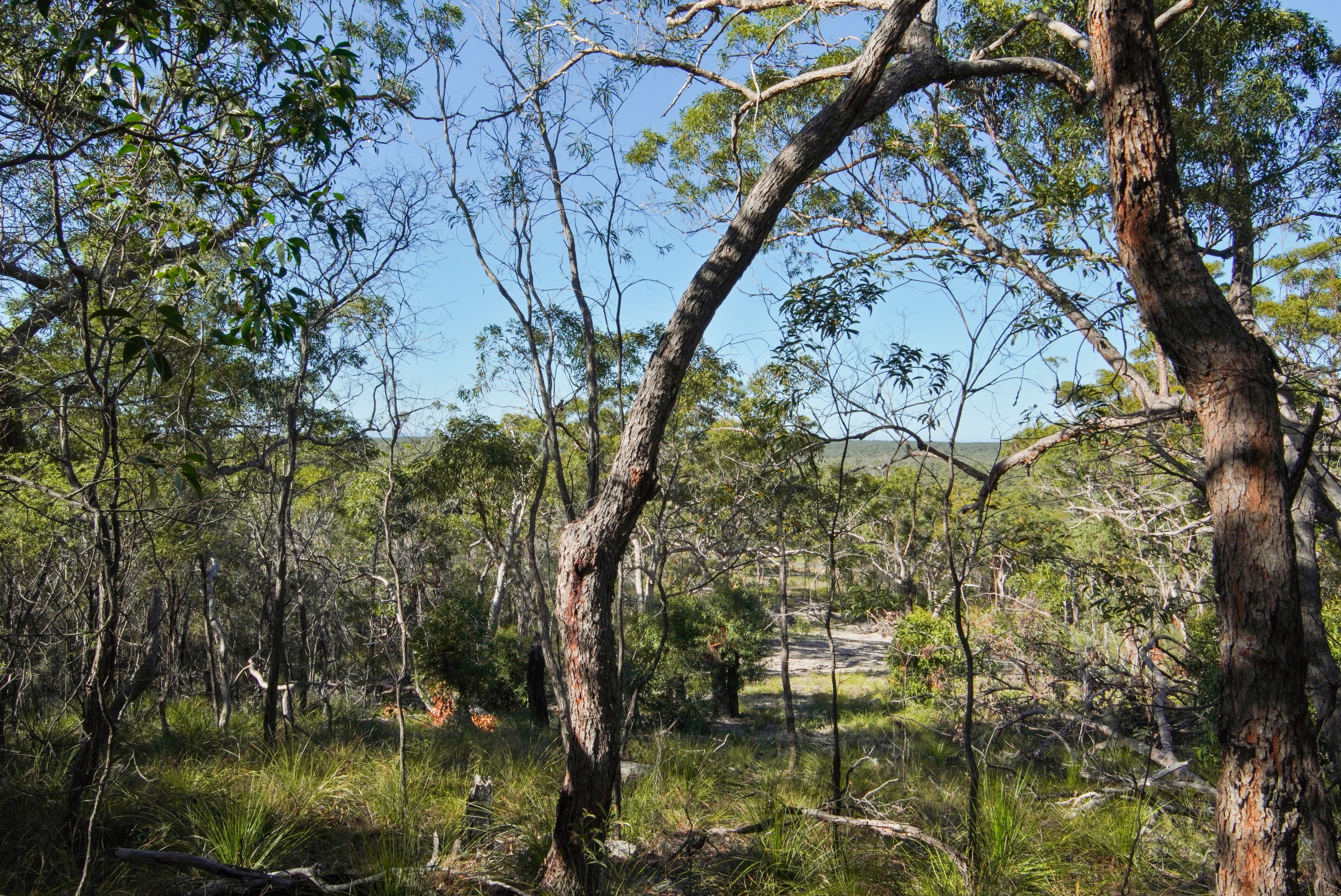 40 Jobson Road — photo 11 of 15