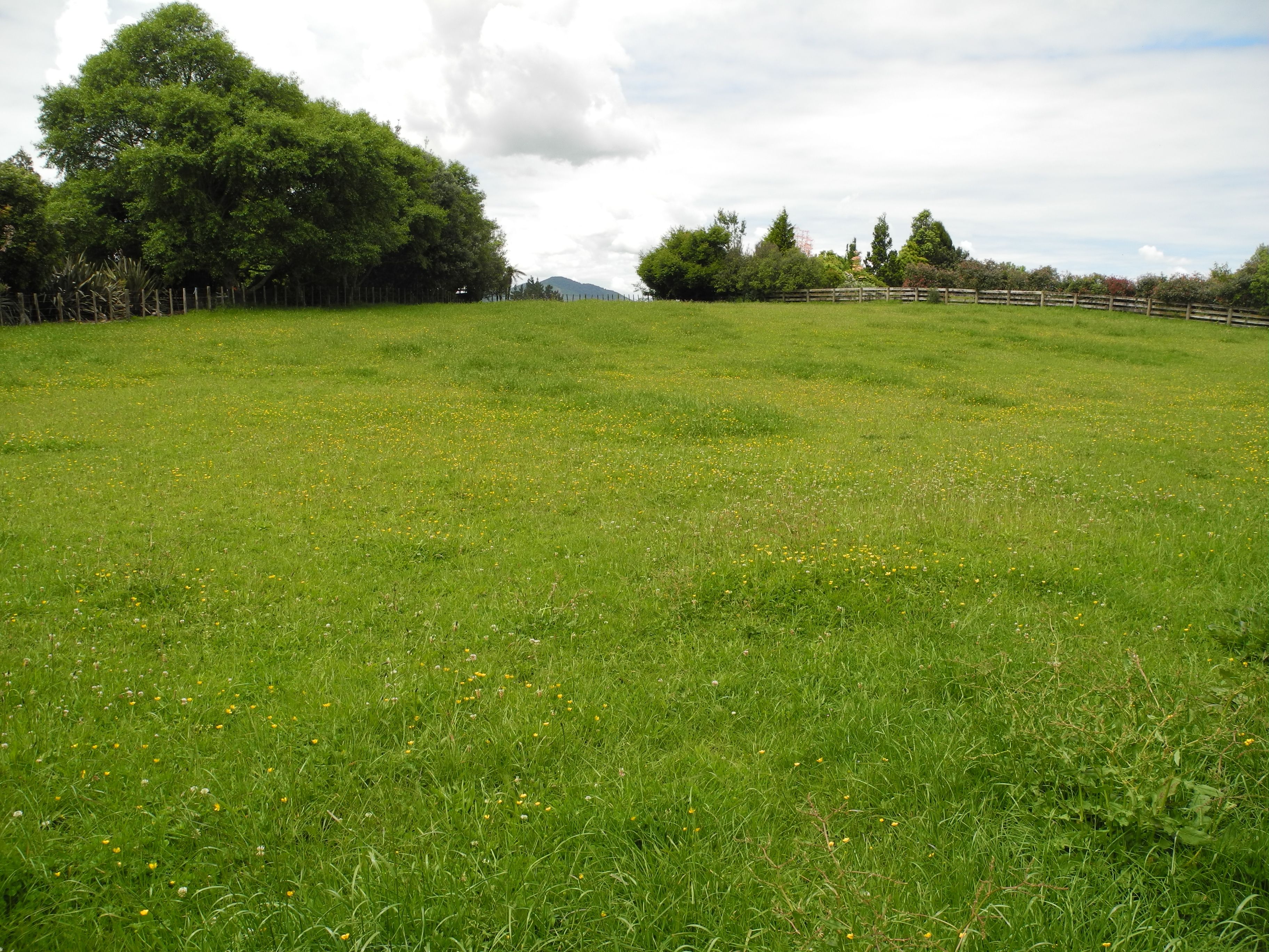 35A Mangauika Road, Pirongia, Waipa District