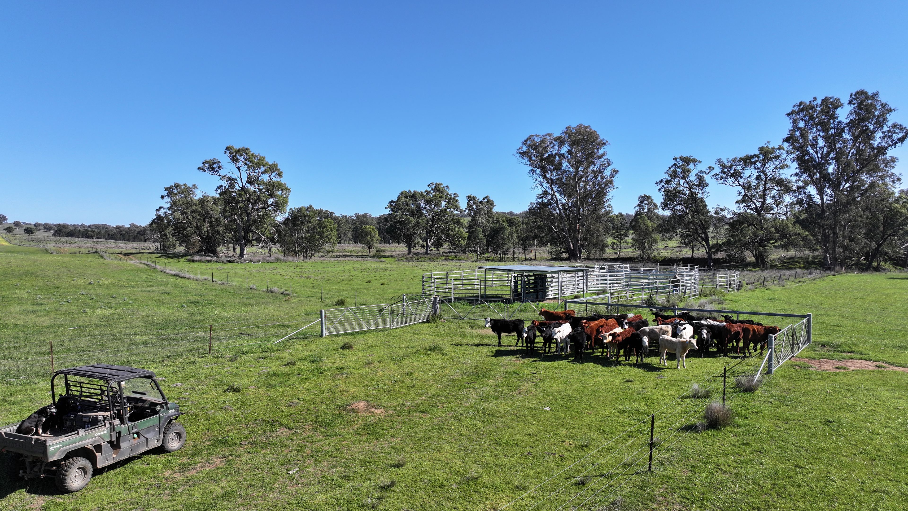 4861 Coonabarabran Road — photo 13 of 30