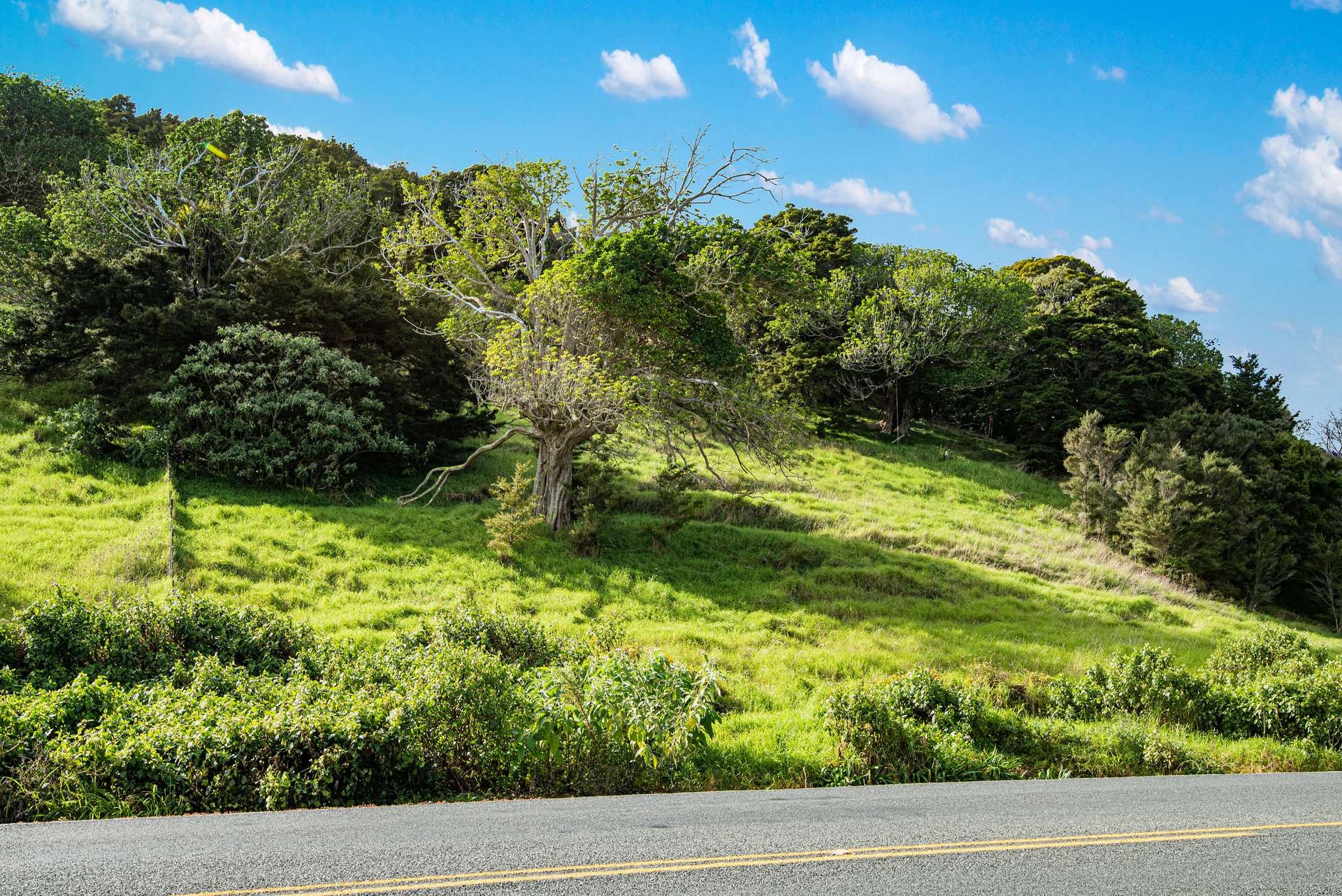 421 Whangarei Heads Road photo 3