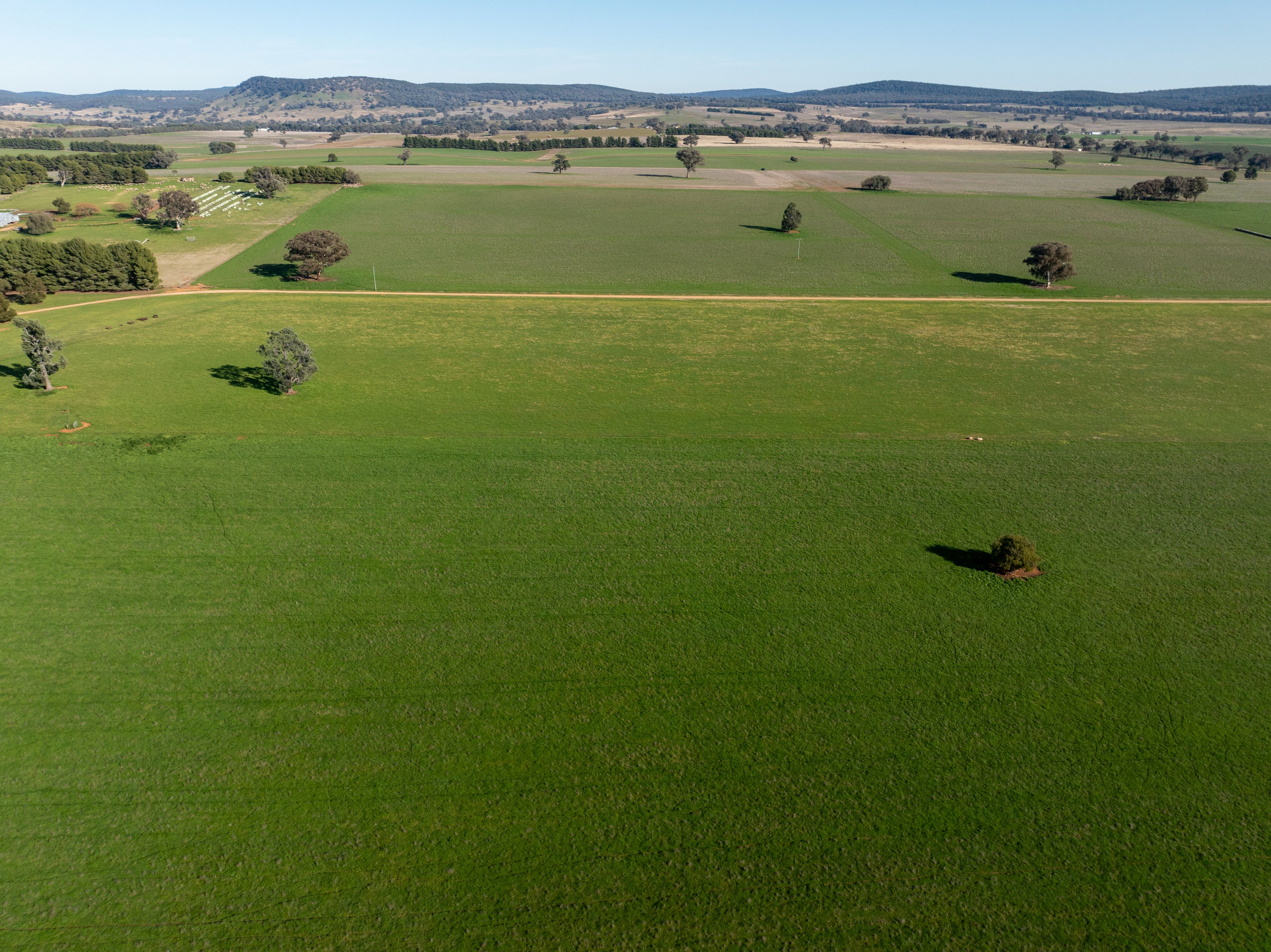 501 Mandagery Road, Mandagery, NSW 2870