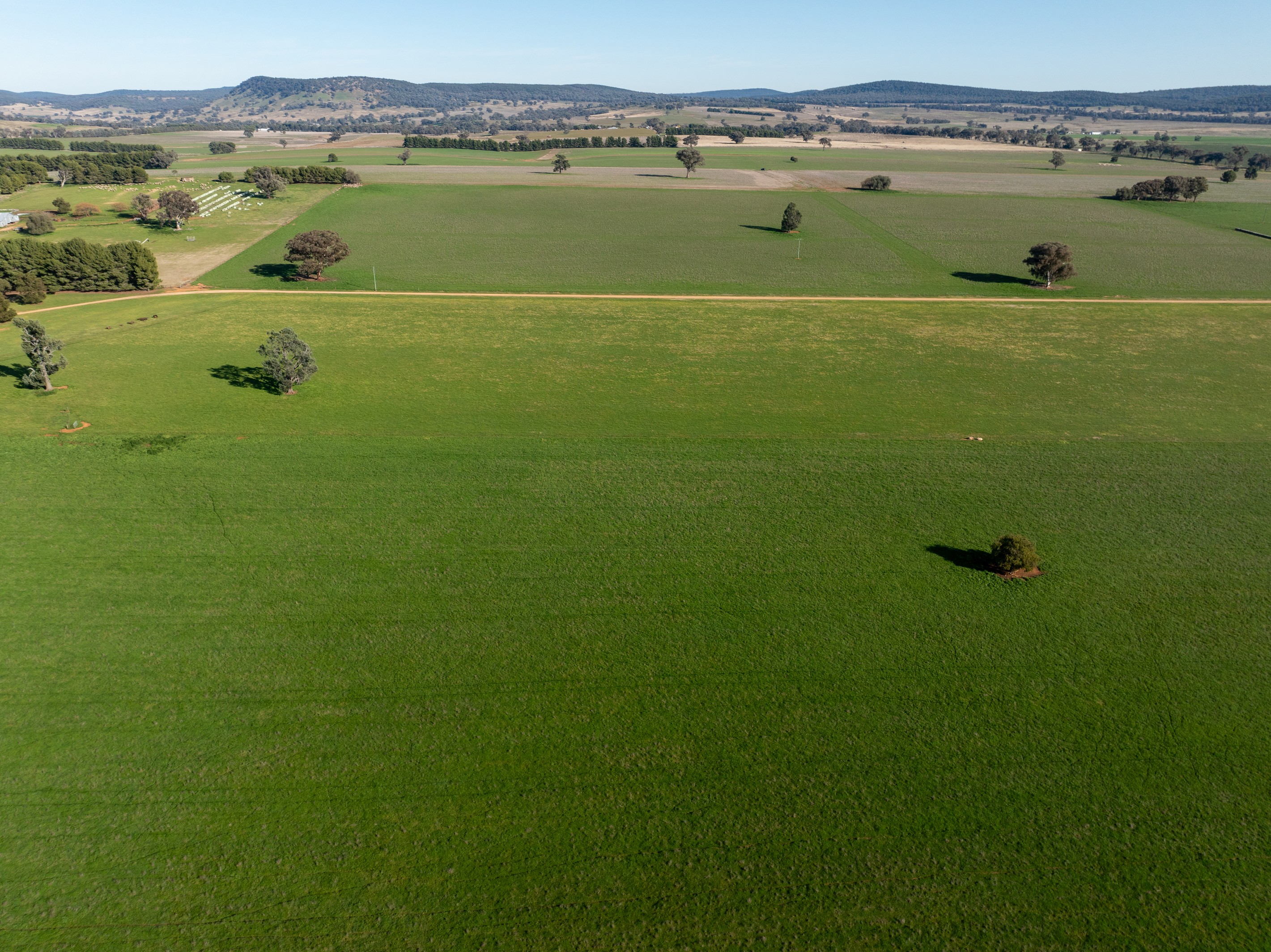 501 Mandagery Road, Mandagery, NSW 2870