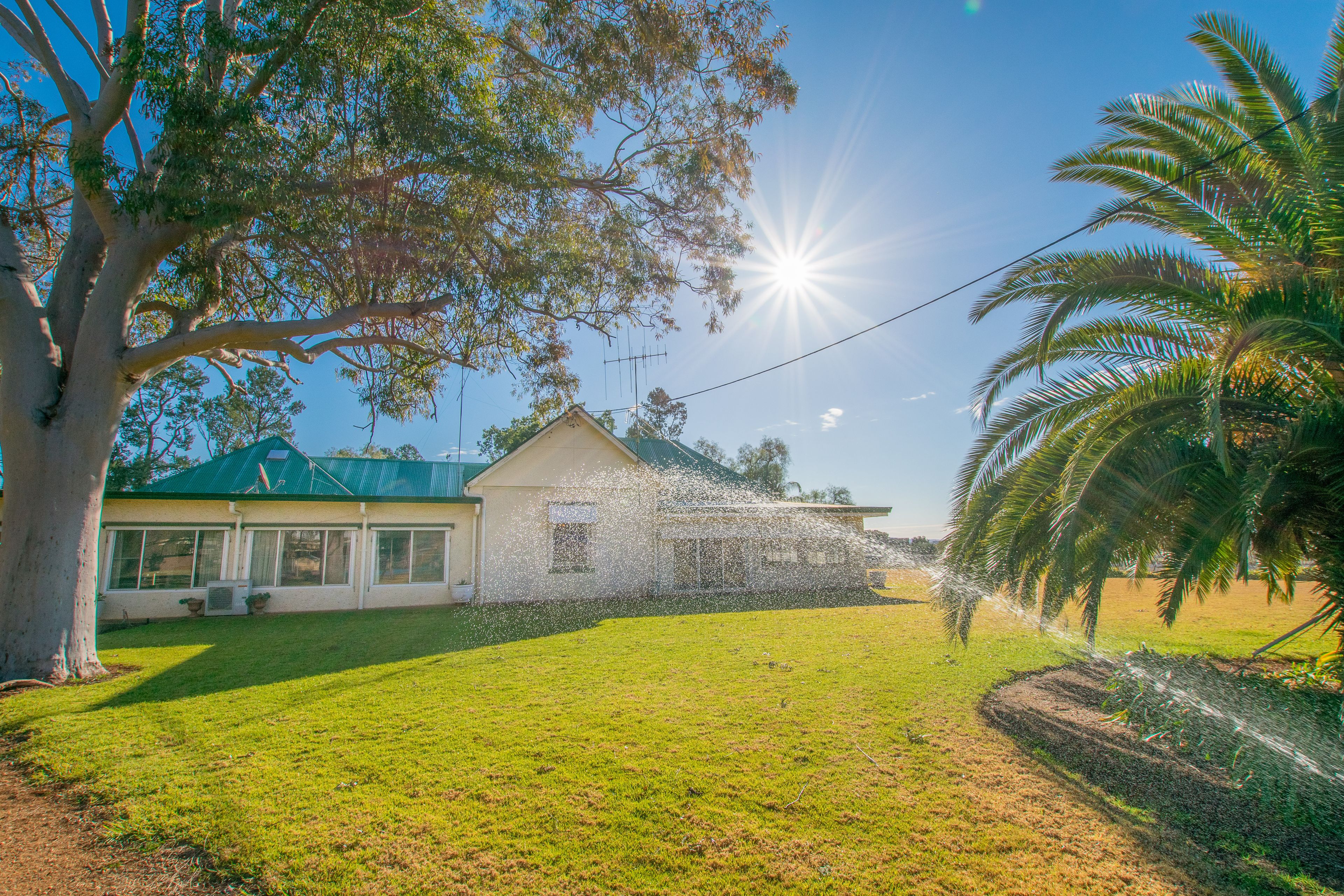1203 Rivers Road, Canowindra, NSW Rural Rural Mixed Farming Property Sold