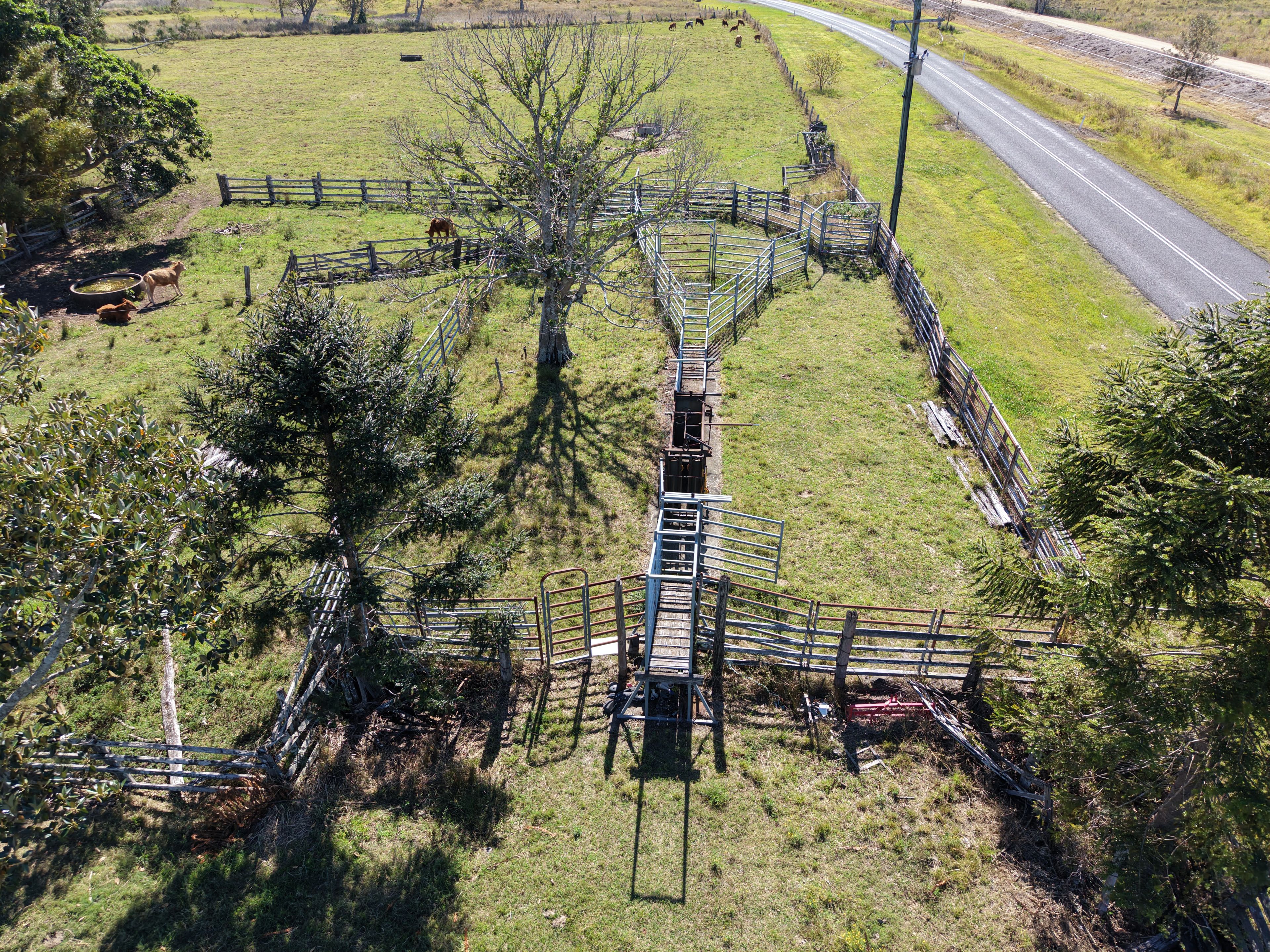 97 Naughtons Gap Road — photo 7 of 17