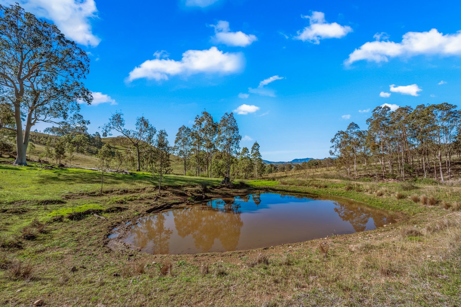 Off Goorangoola Road Greenlands — photo 6 of 19