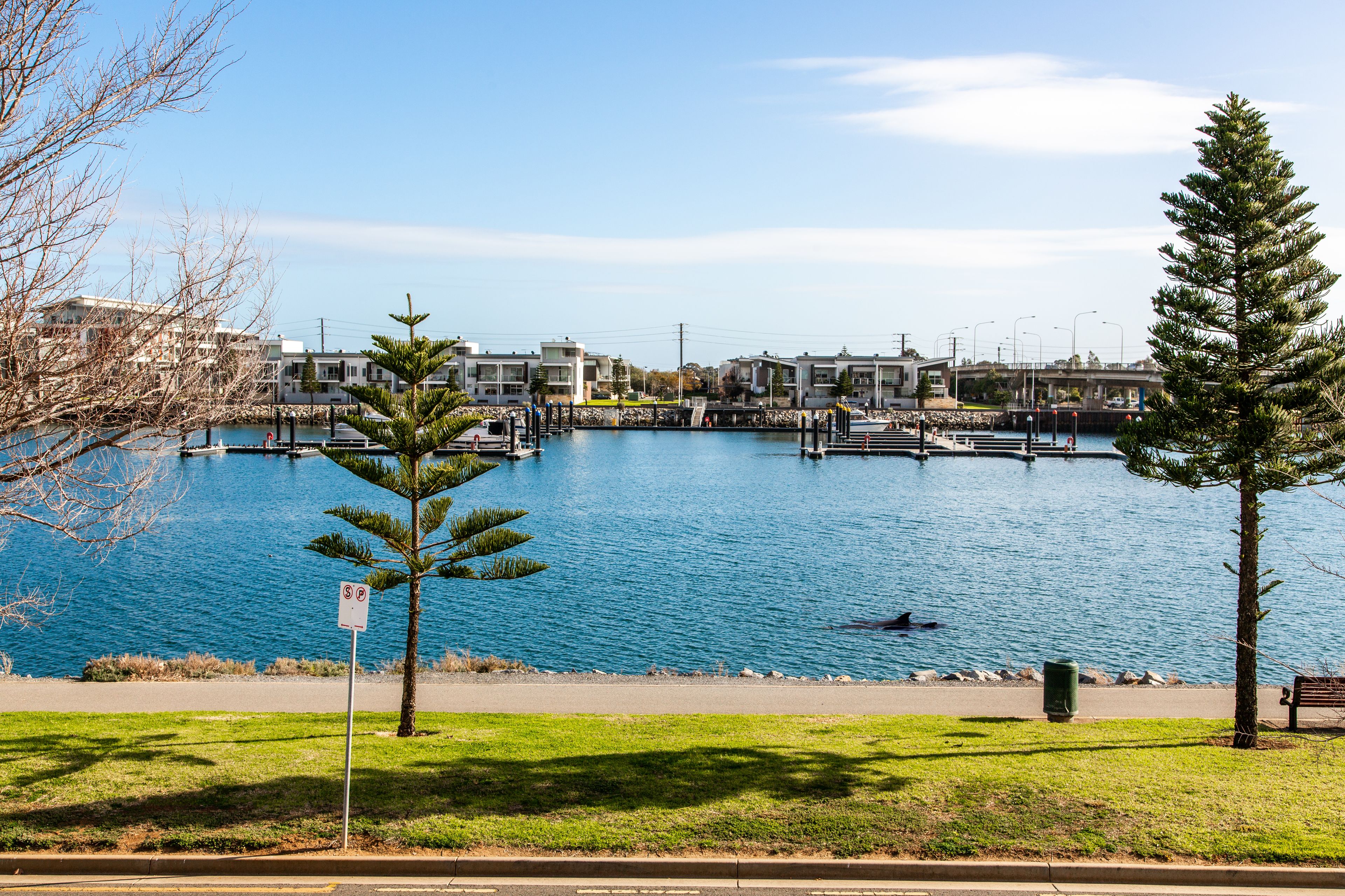 16 Knapman Crescent, Port Adelaide, SA 5015