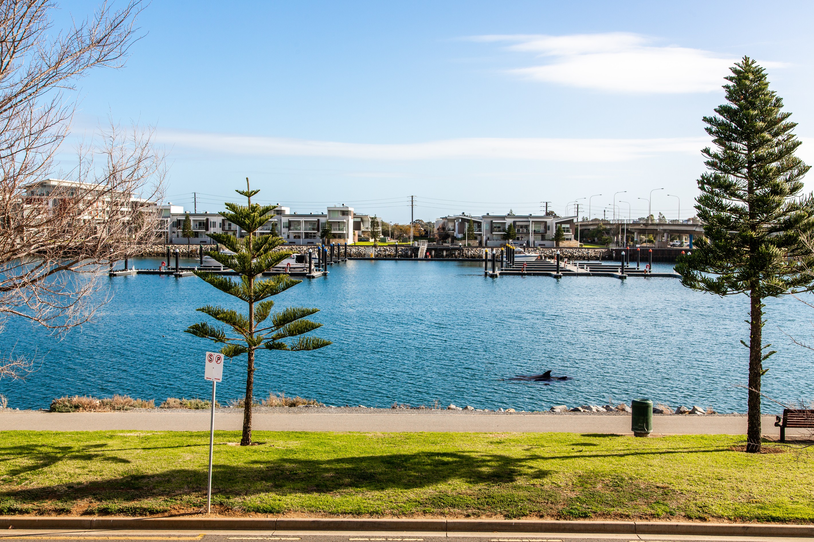 16 Knapman Crescent, Port Adelaide, SA 5015