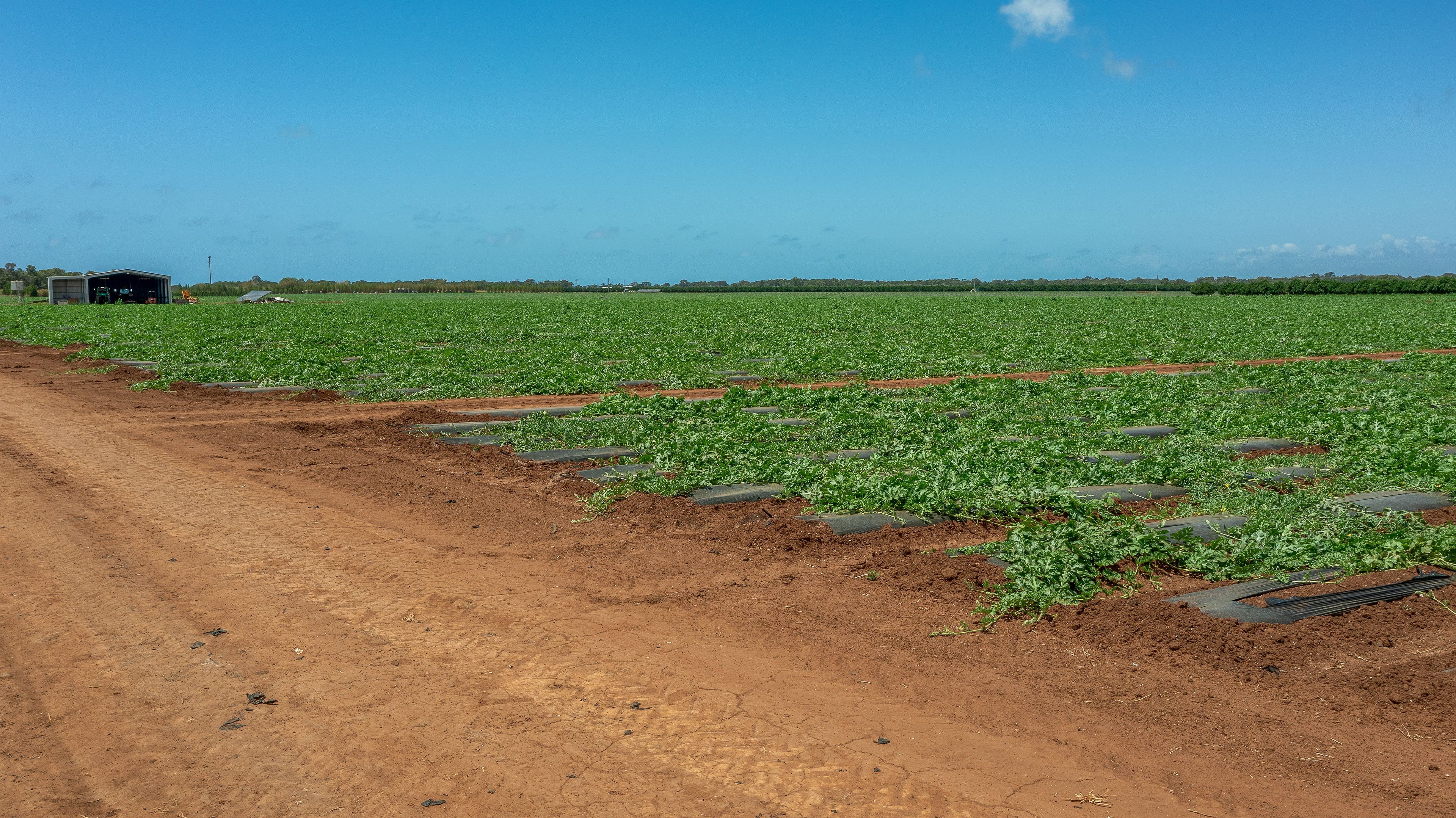 190 & 140 Riverview Road, Calavos, QLD 4670