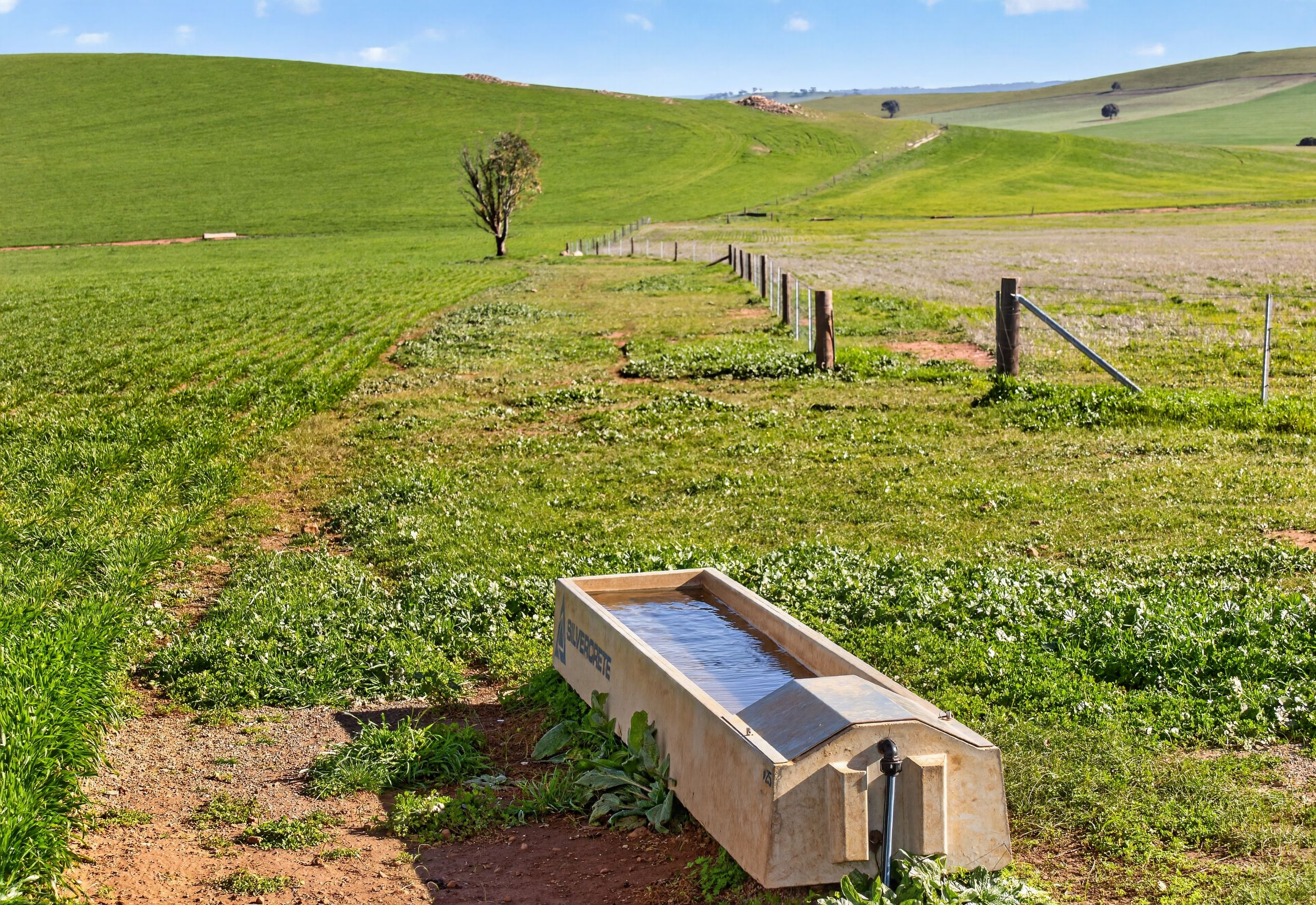 'Eudunda Hill' Thiele Highway — photo 5 of 30