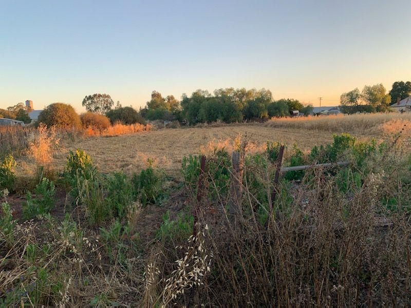74 Bogan Street, Bogan Gate, NSW 2876