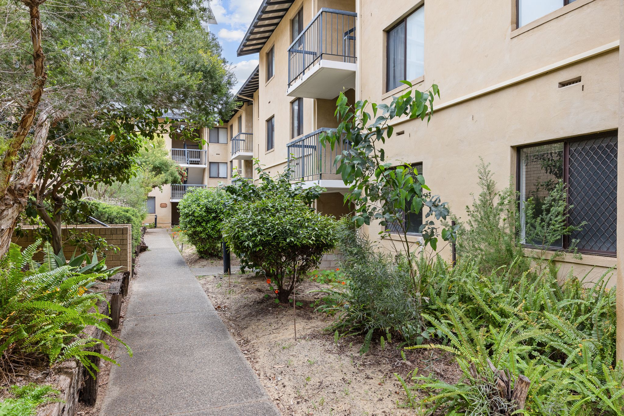 37/66 Riversdale Road — photo 10 of 18