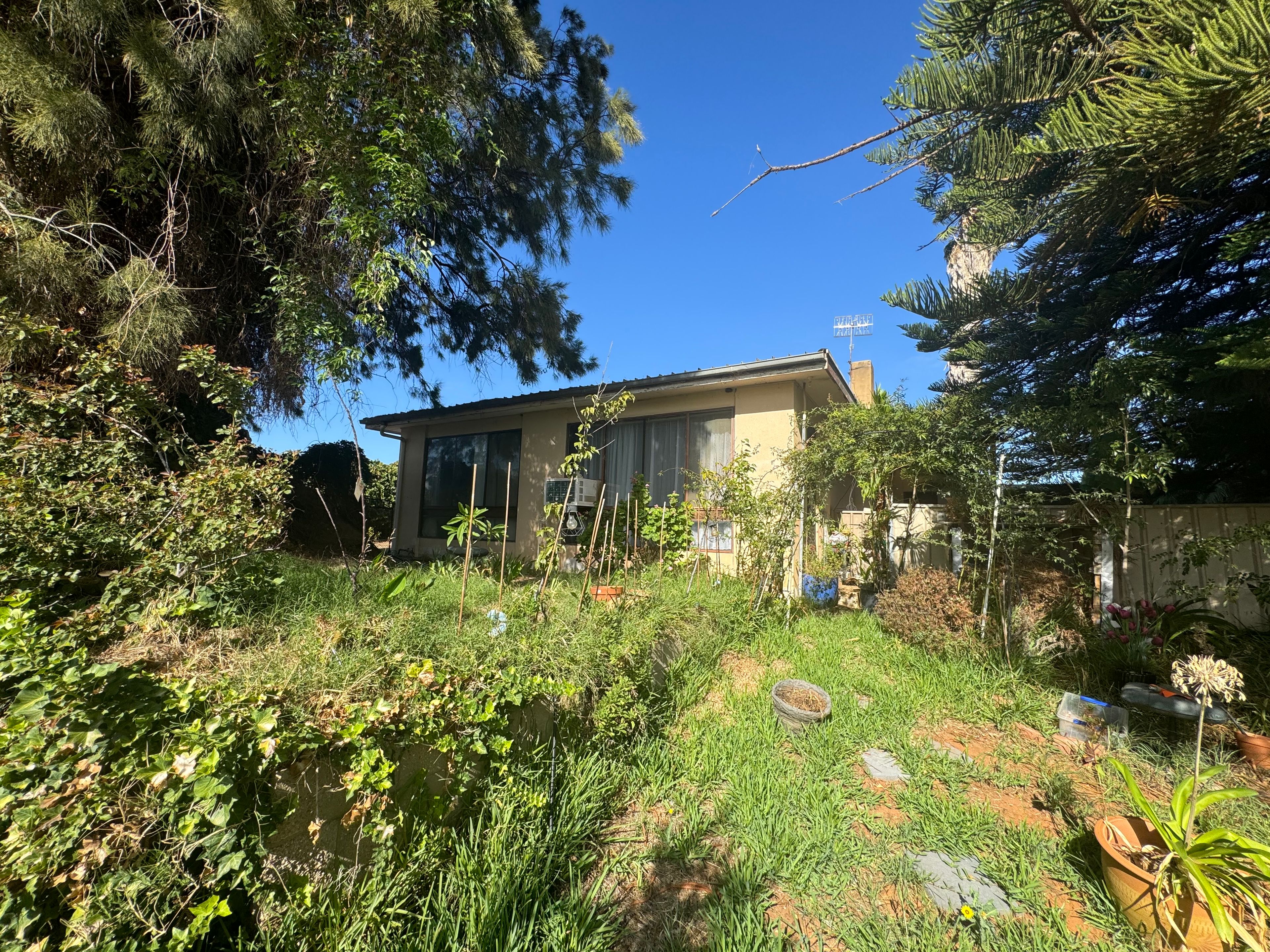 340 Holmes Road, Kingston On Murray, SA 5331 Leased House Ray White