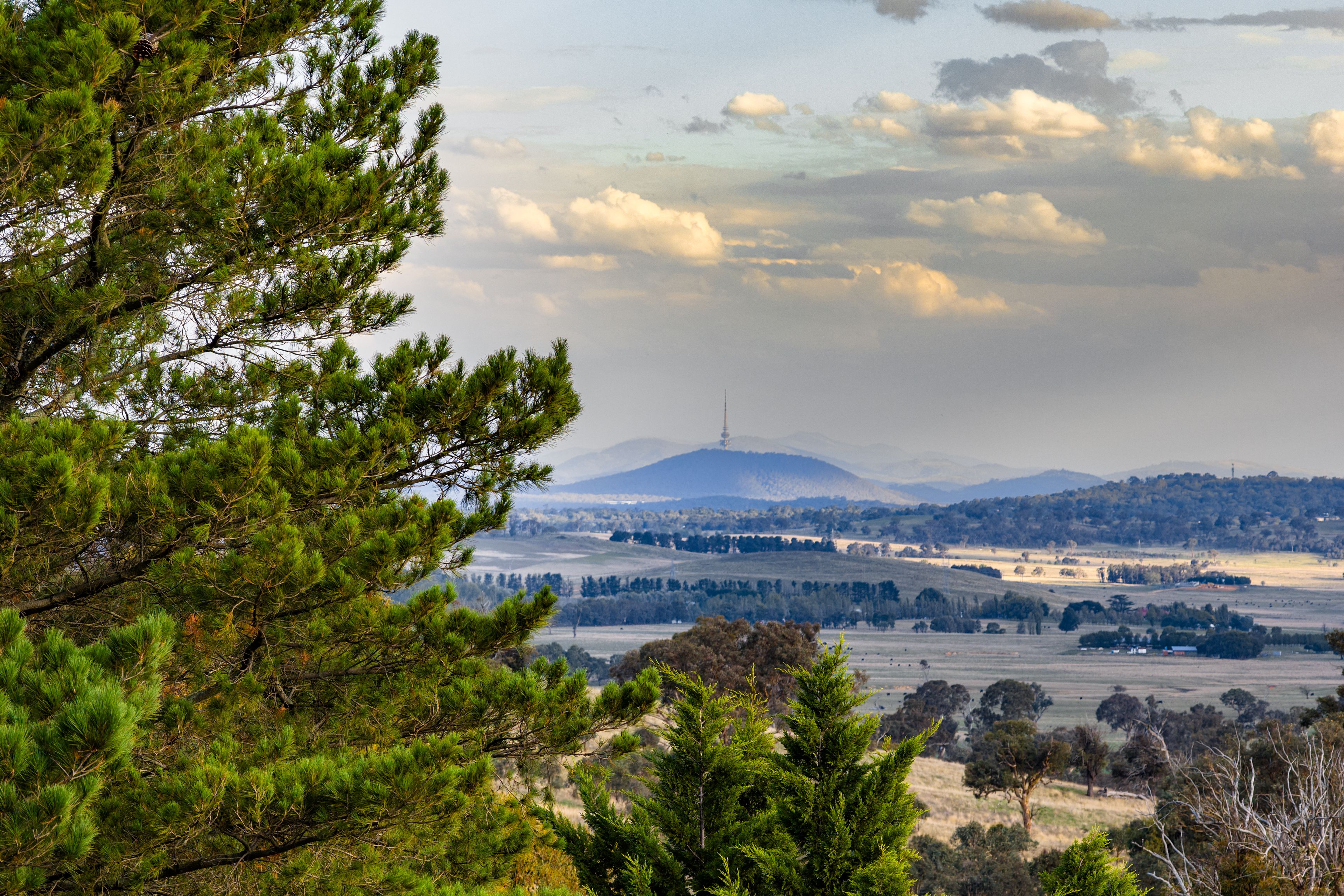 "Savannah Springs" 294 Rolfe Road, Wallaroo, NSW 2618