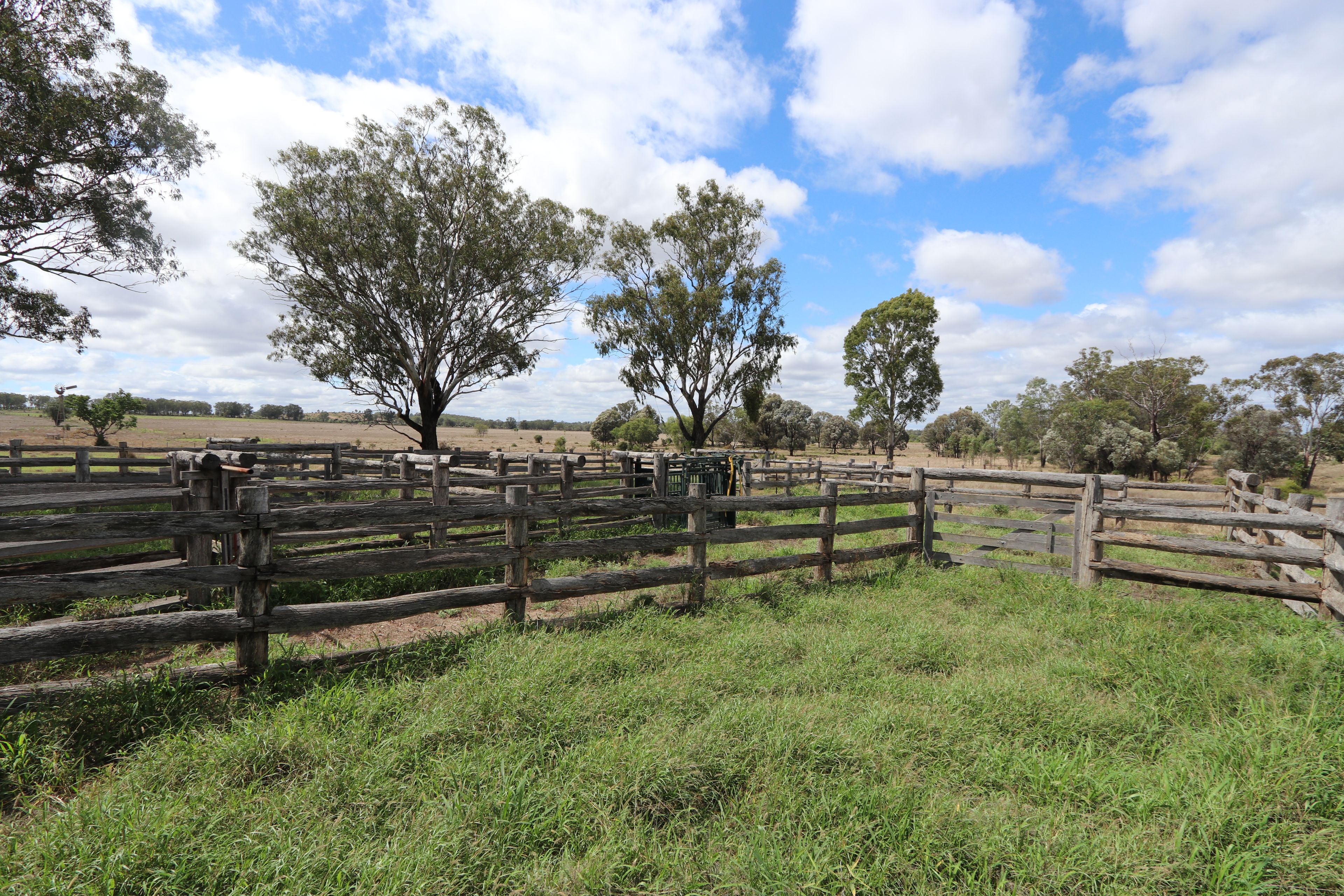 "Penlyn Hills" 811 Lowries Road — photo 4 of 18