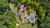 16/216 Manuka Road photo 16
