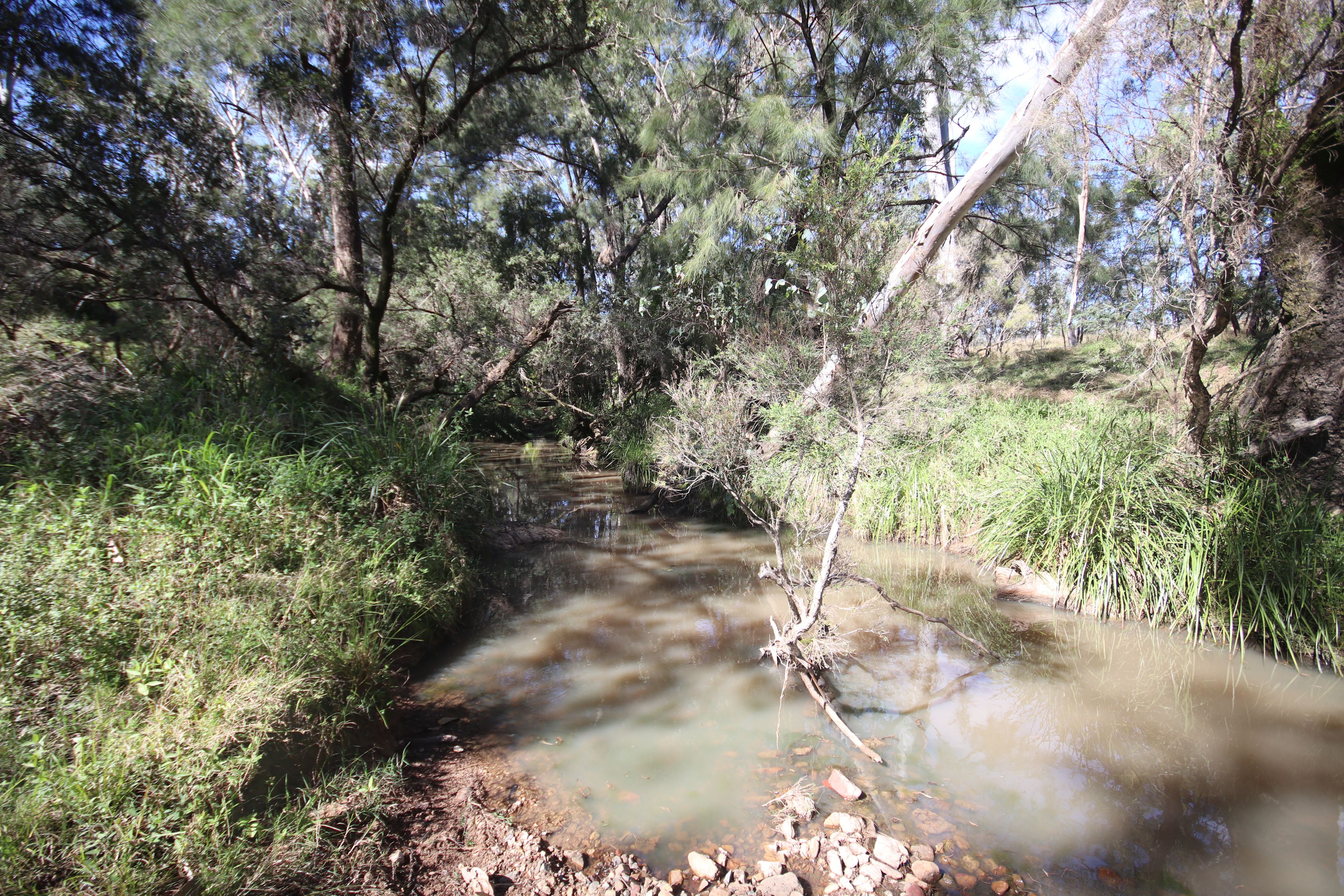 Lots 3, 11 & N Monogorilby Road — photo 8 of 11