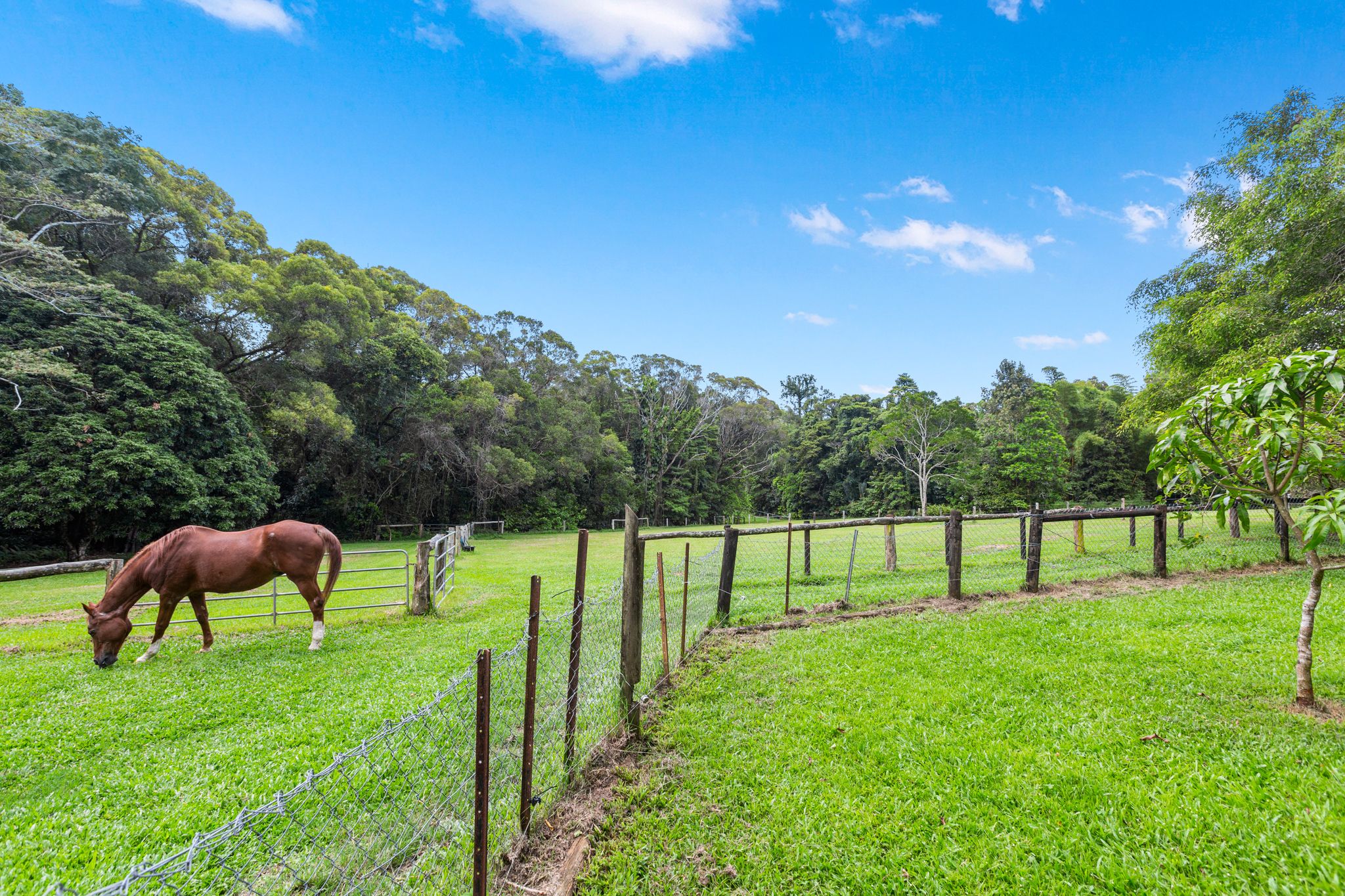 8 Masons Road, Kuranda, QLD 4881