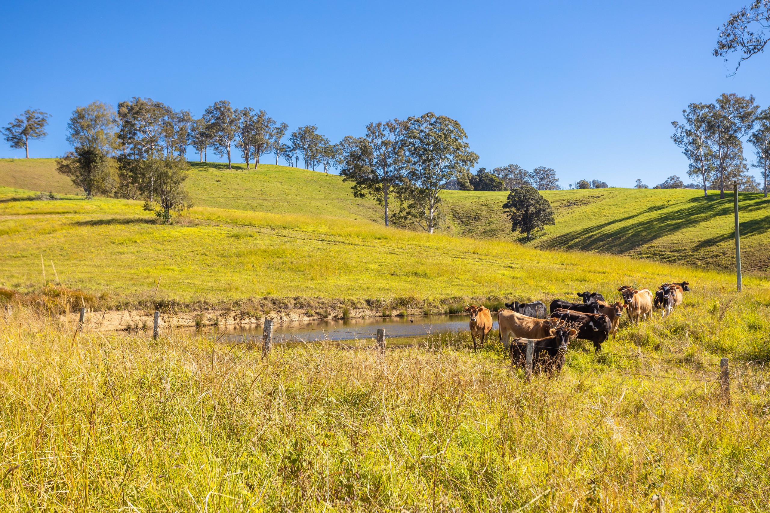 702 Wallanbah Road, Wallanbah, NSW 2422