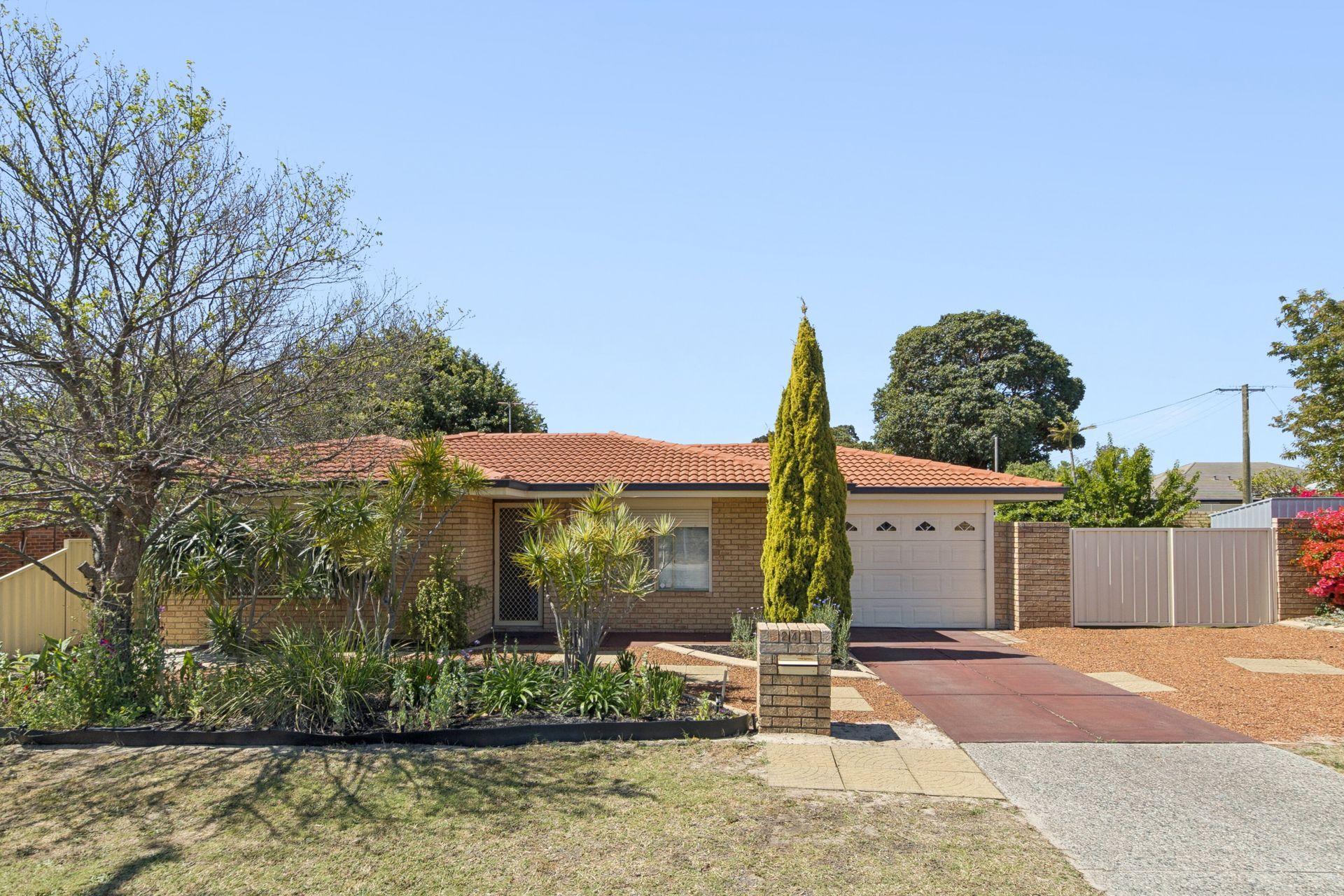 241 Belgravia Street — photo from Ray White Urban Springs