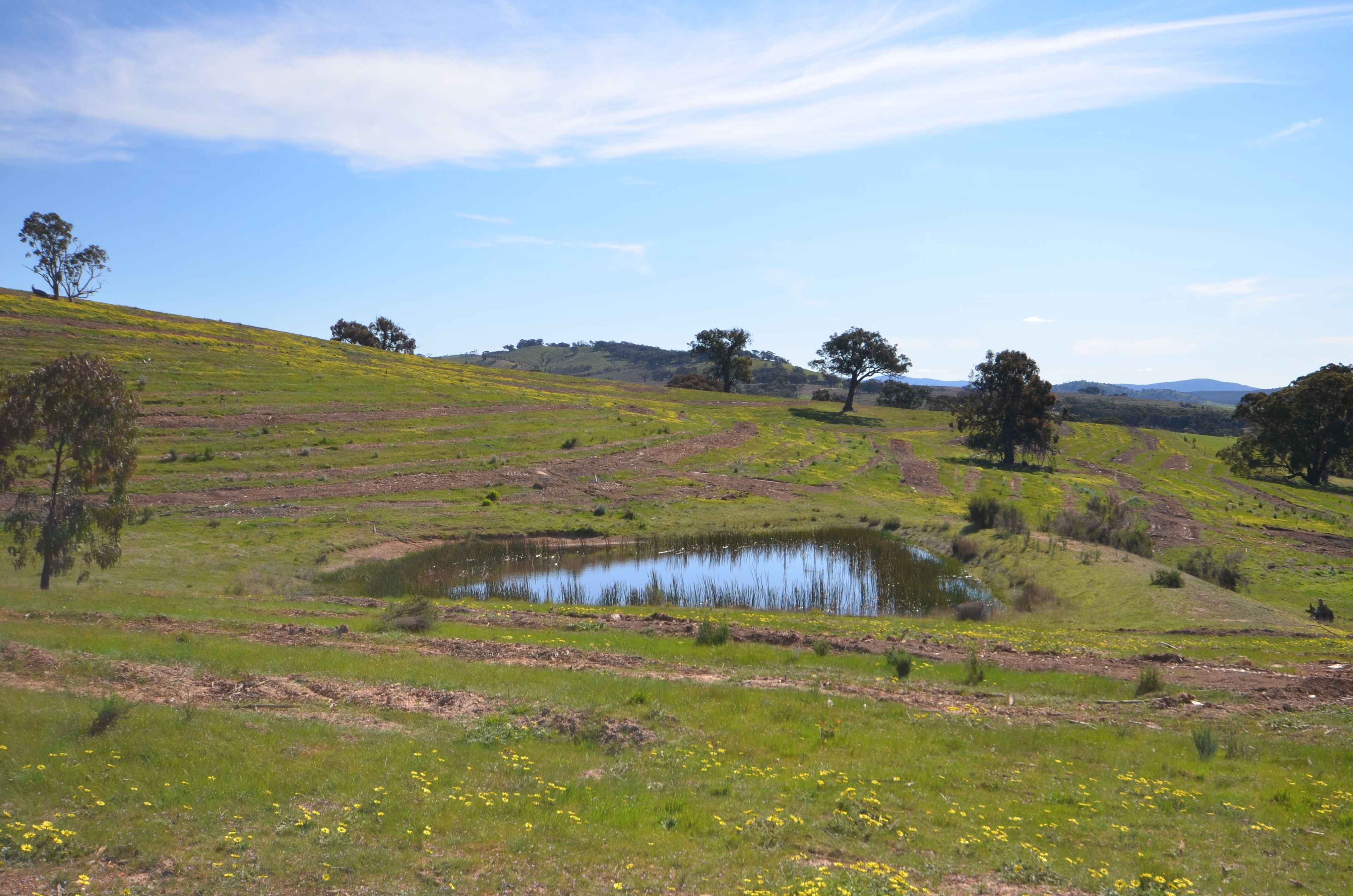 CA 5B and 6B Black Bottom Road, LEXTON, VIC 3352