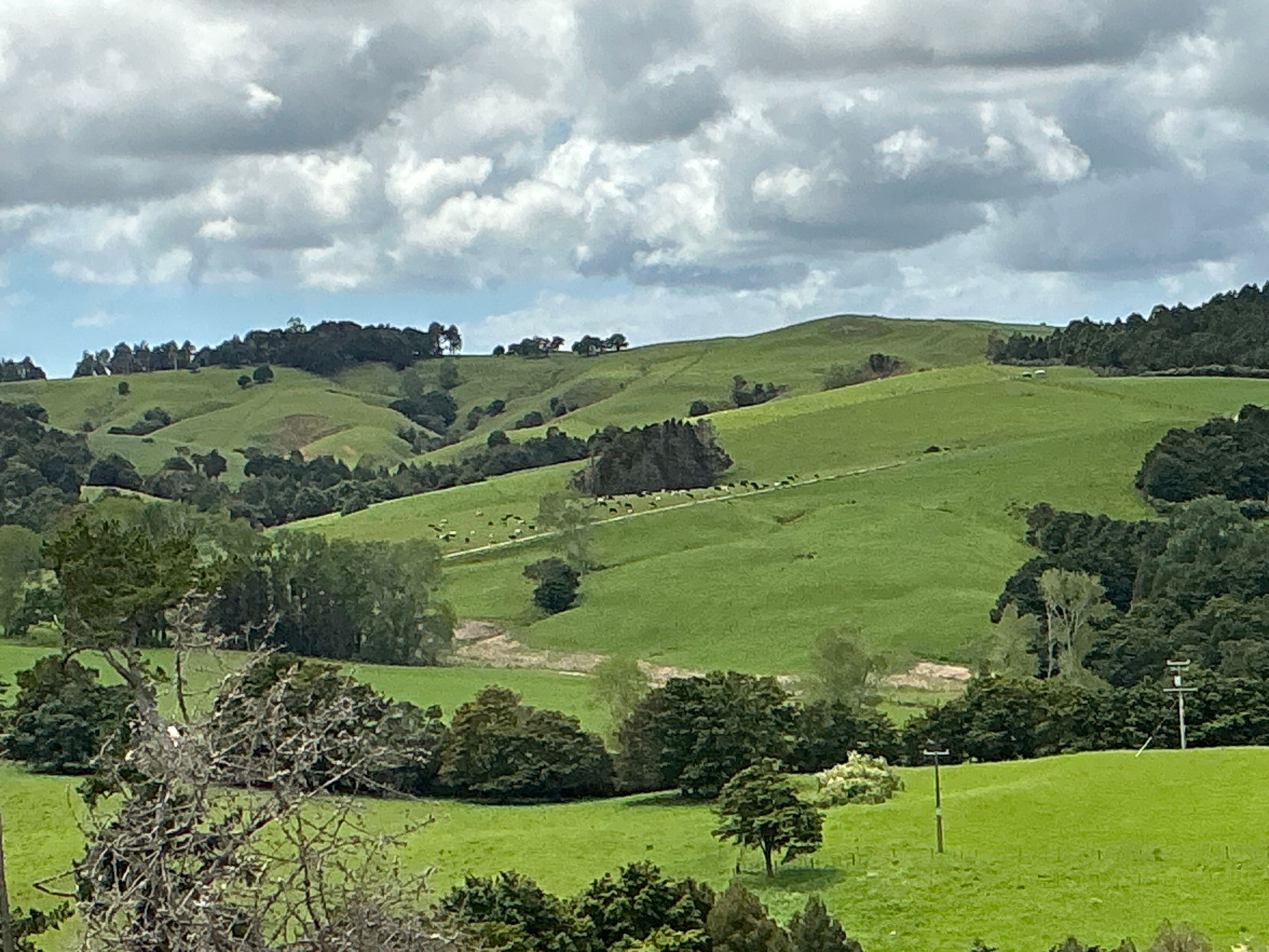 Lot 2/DP385487 Poyner Road, Tahekeroa, Rodney