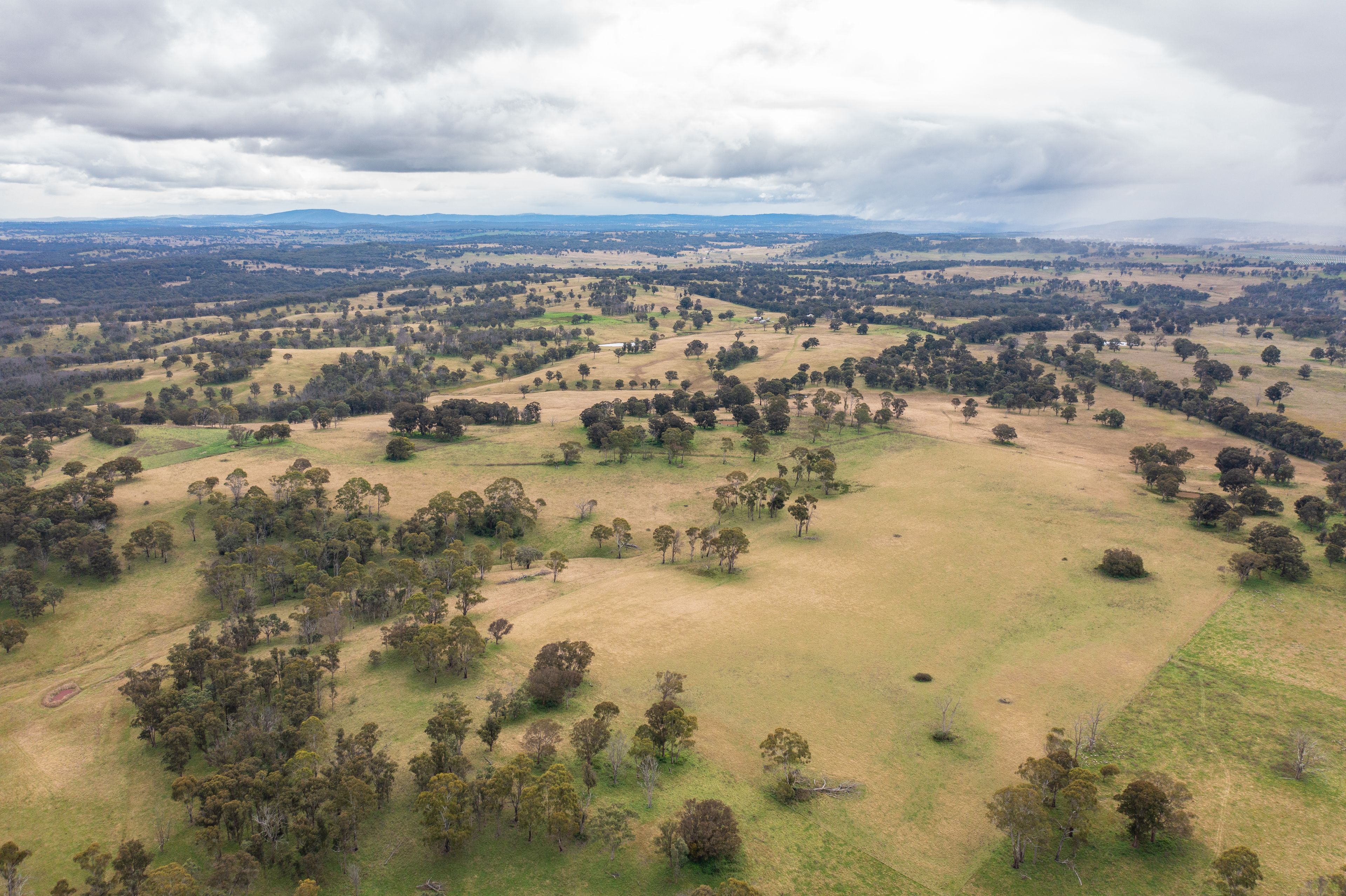 372 Metz Road, Armidale, NSW 2350 Sold Rural Mixed Farming Property