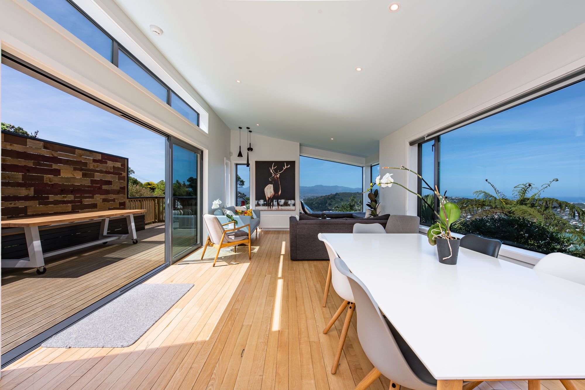 119 The Ridgeway, Mornington, Wellington City
